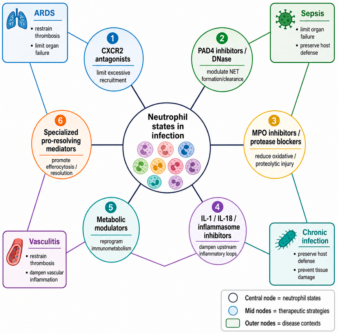 Immuno 06 00062 g006 Immuno 06 00062 g006