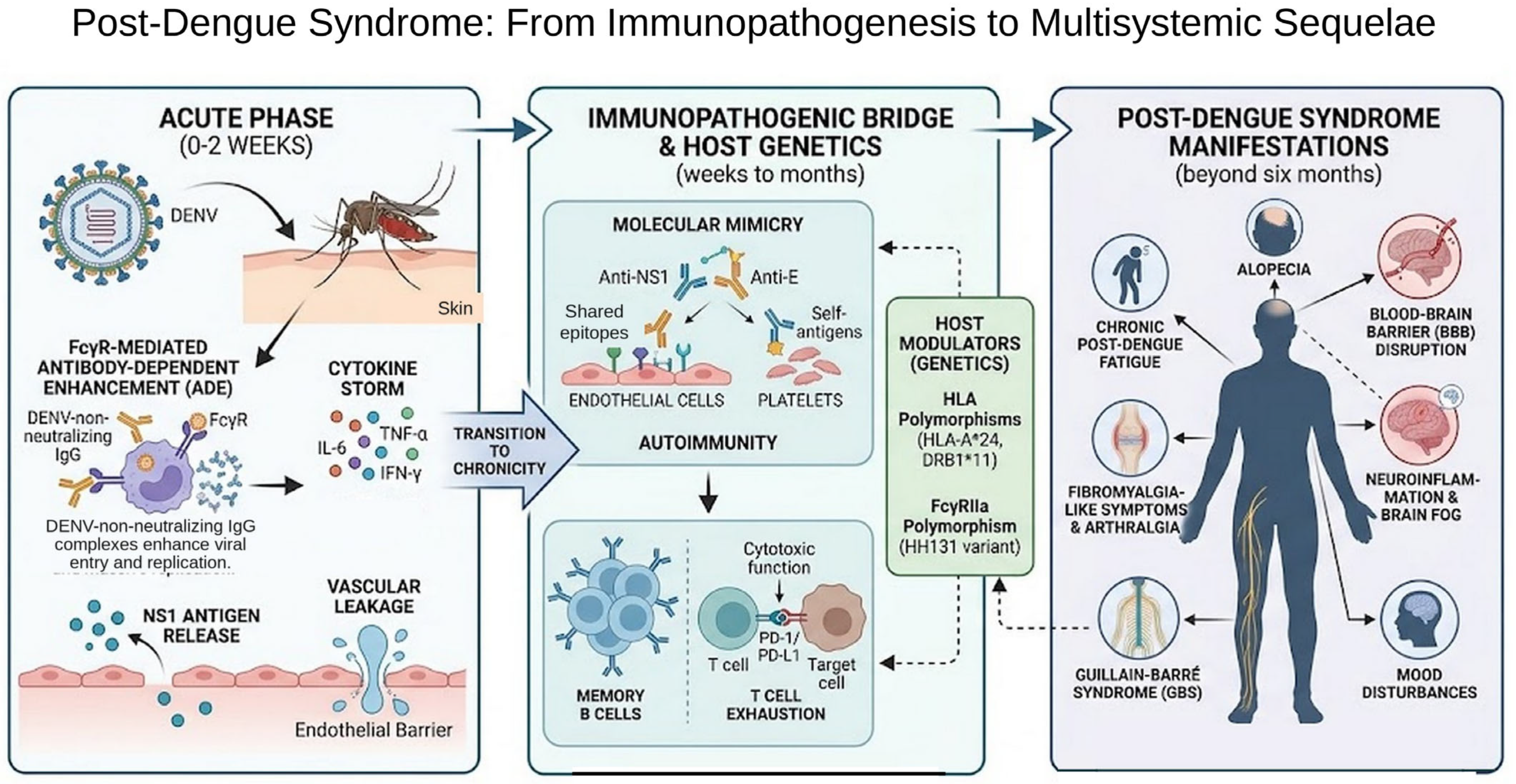 Immuno 06 00063 g001 Immuno 06 00063 g001