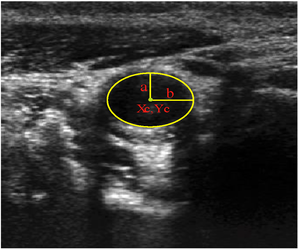 Informatics 01 00052 g002 1024