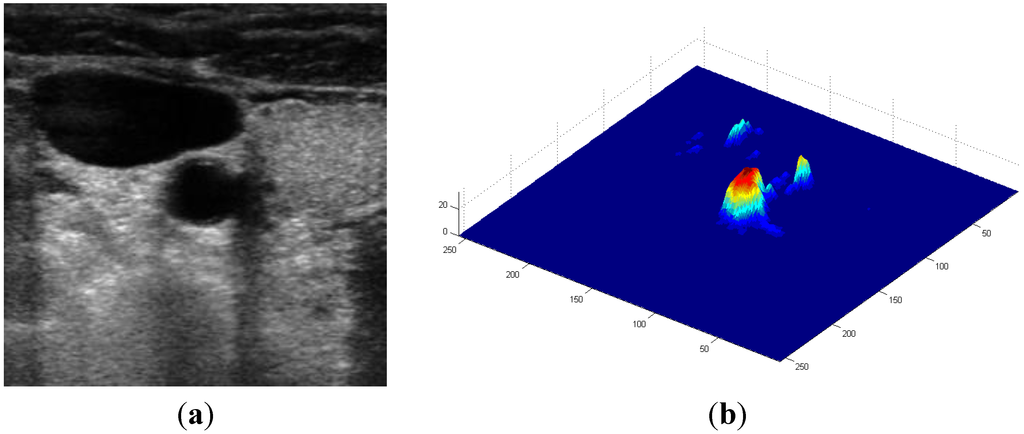 Informatics 01 00052 g003 1024