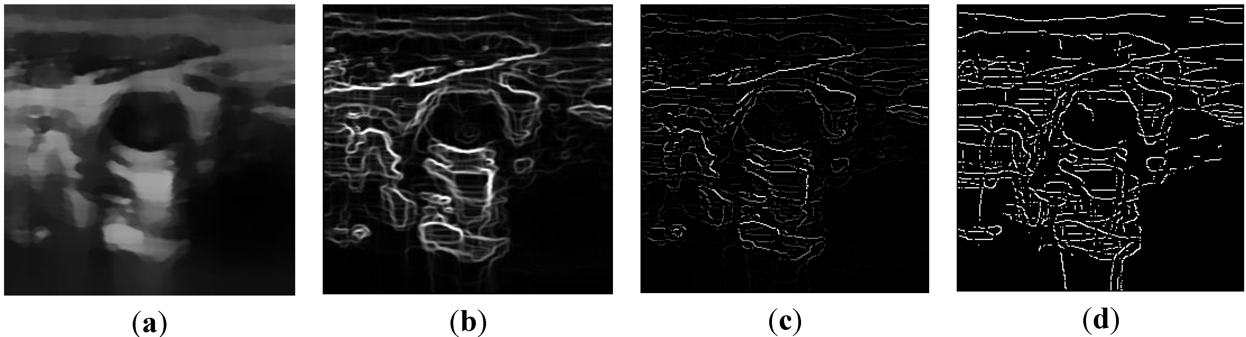 Informatics 01 00052 g005