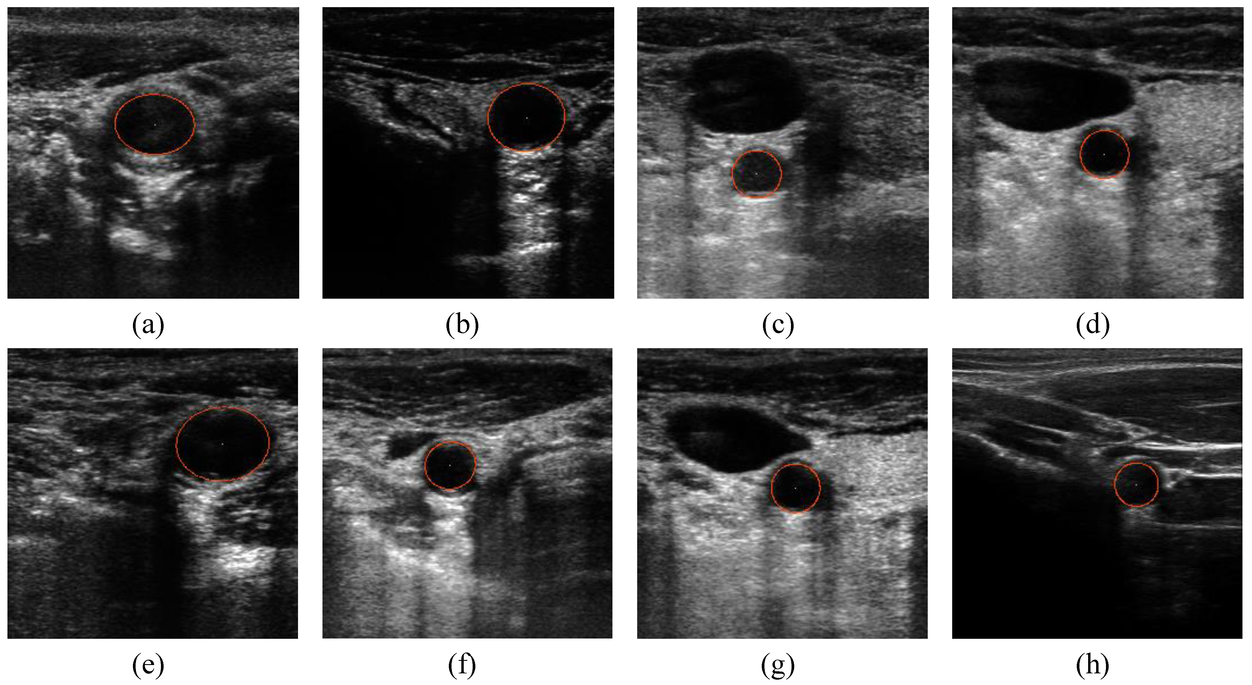 Informatics 01 00052 g013
