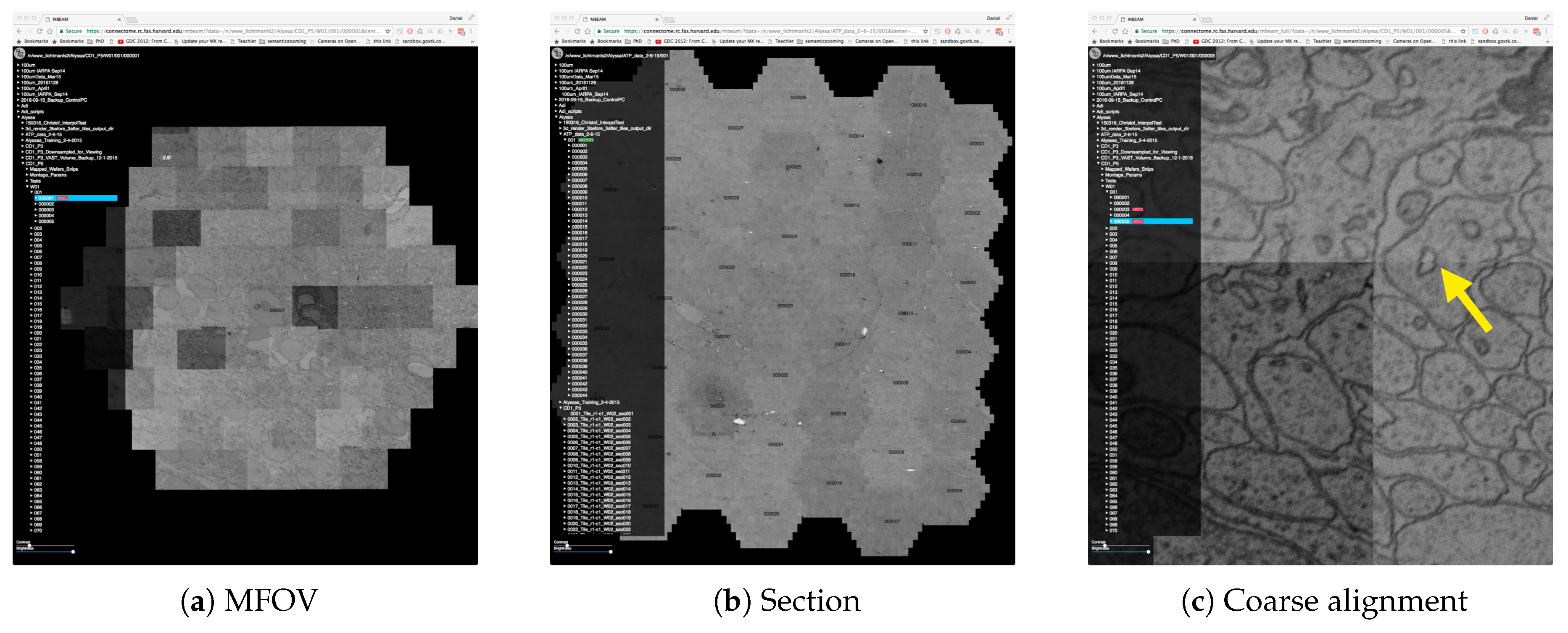 Informatics 04 00029 g003