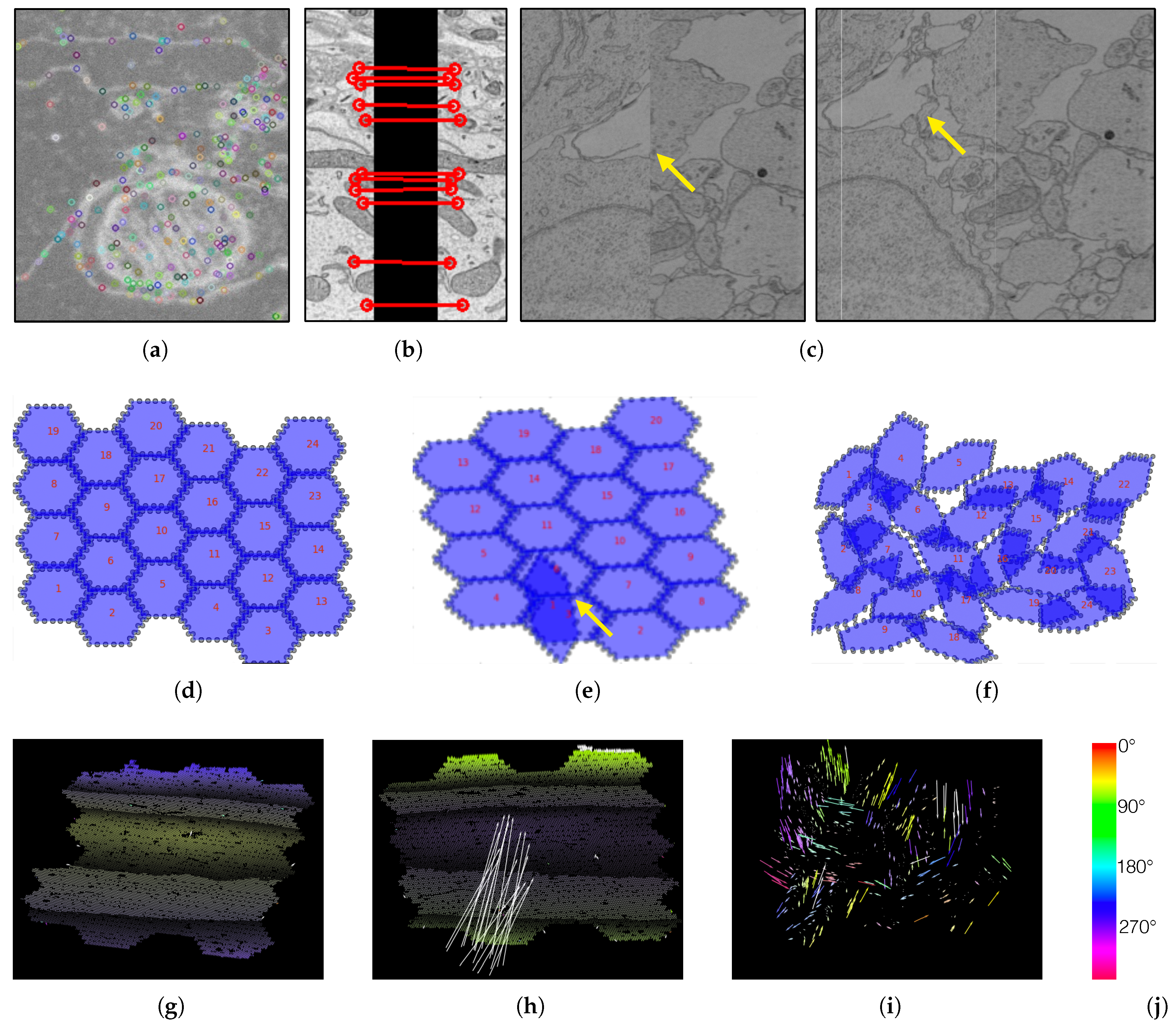 Informatics 04 00029 g004