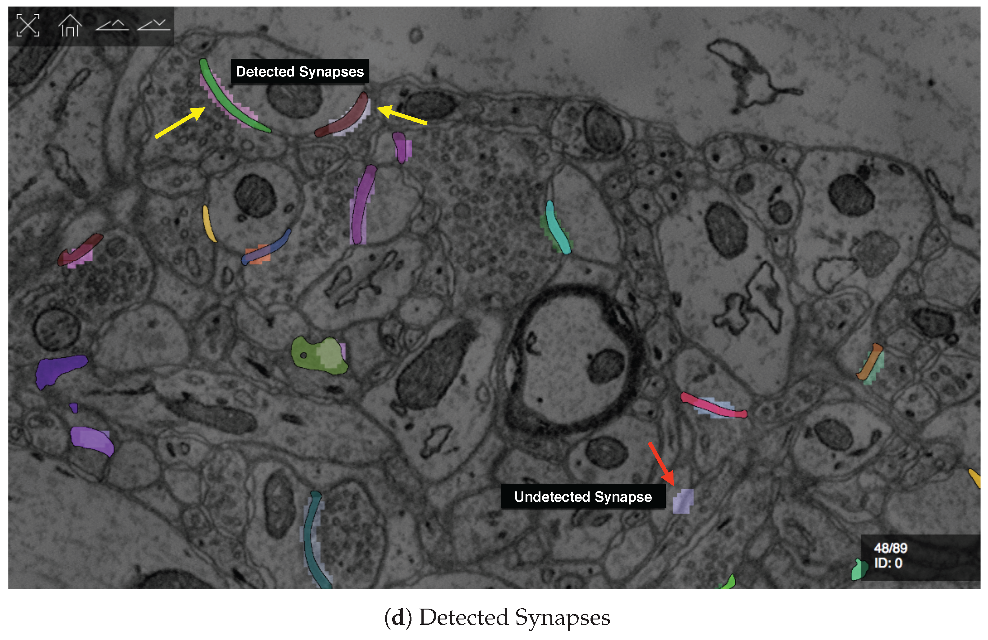Informatics 04 00029 g005b