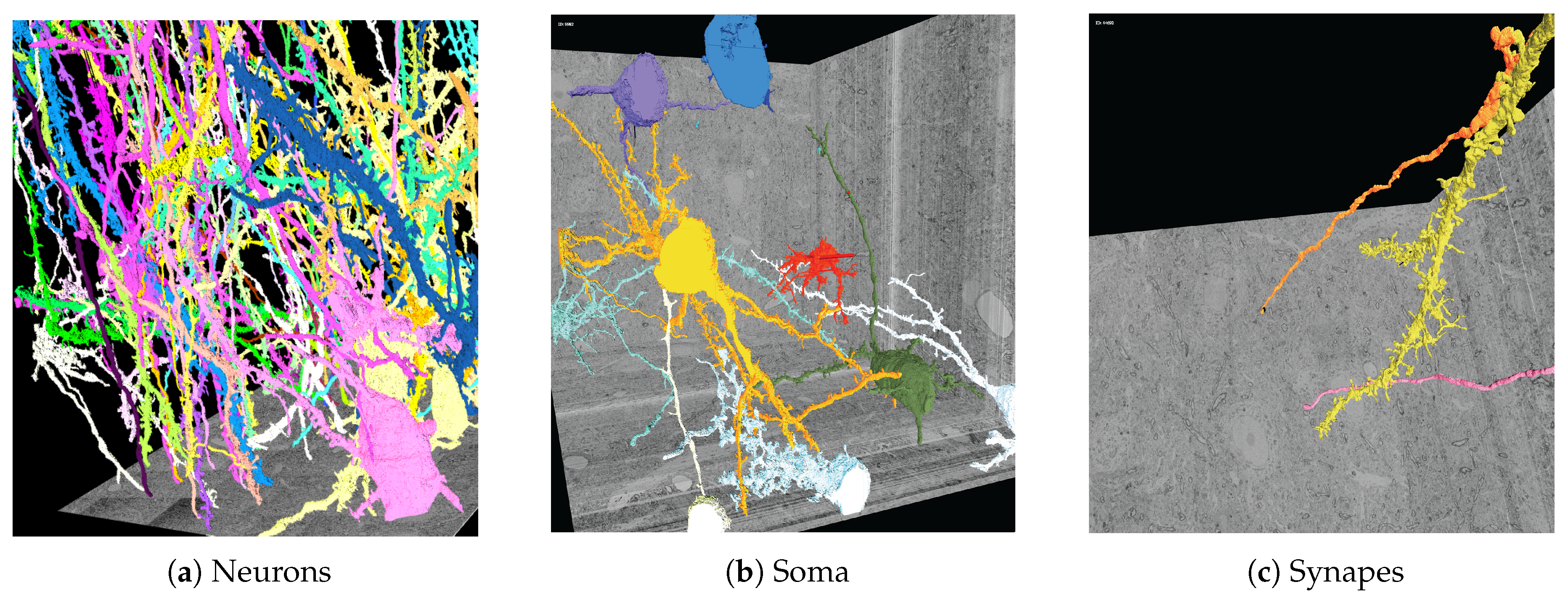 Informatics 04 00029 g008