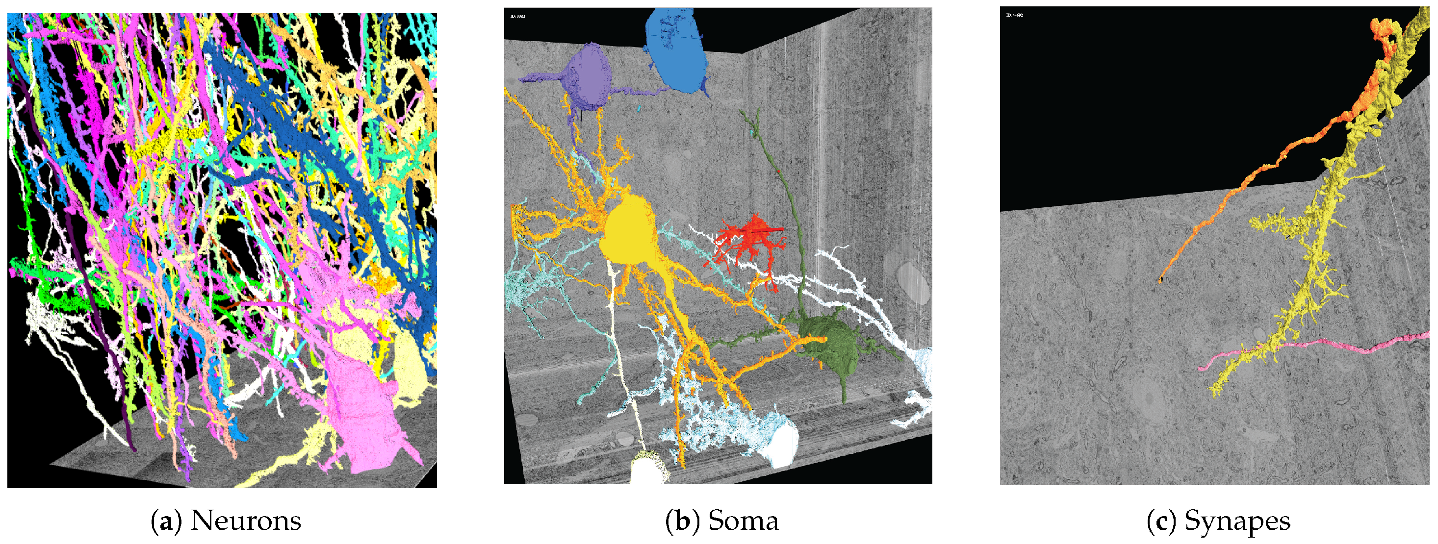 Informatics 07 00037 g003 Informatics 07 00037 g003