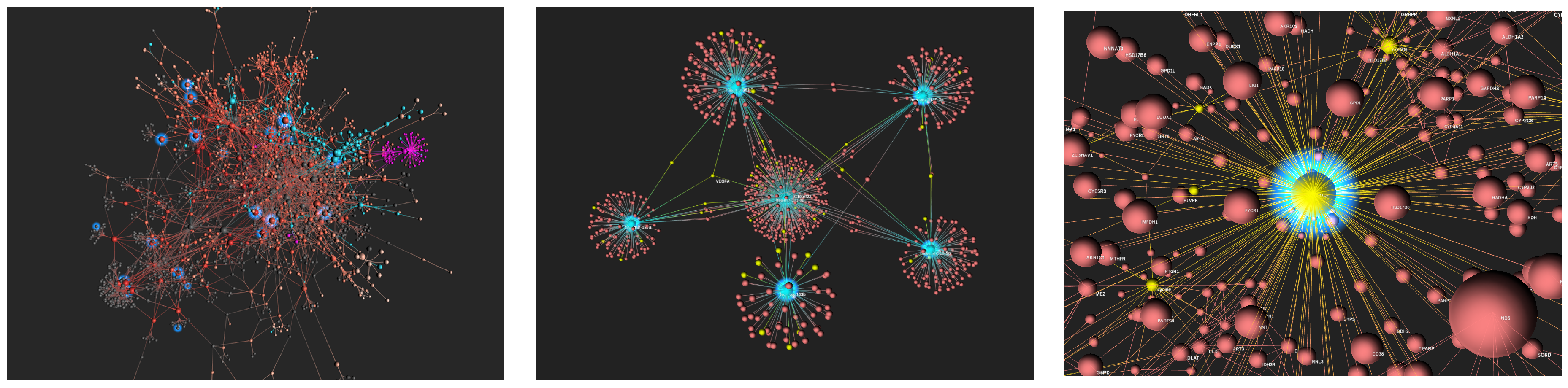 Informatics 07 00037 g007 Informatics 07 00037 g007