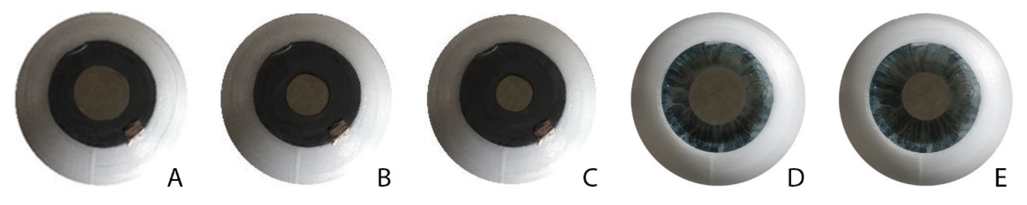 Informatics 08 00064 g003