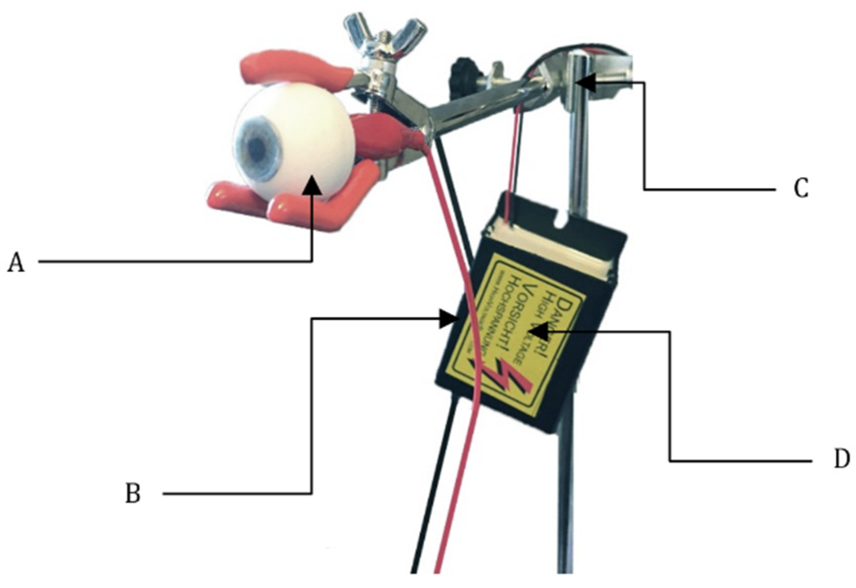 Informatics 08 00064 g004