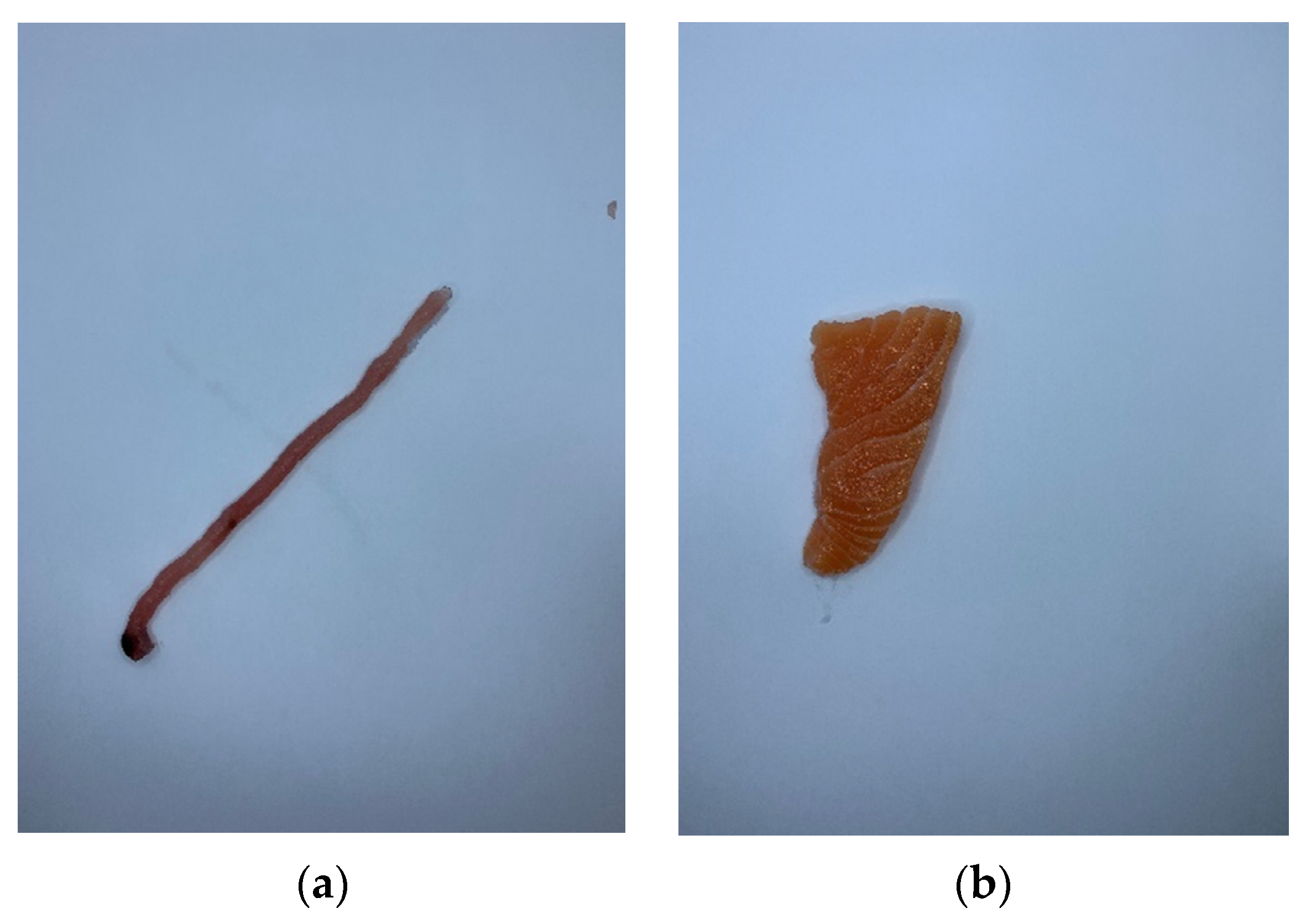 Informatics 08 00070 g001