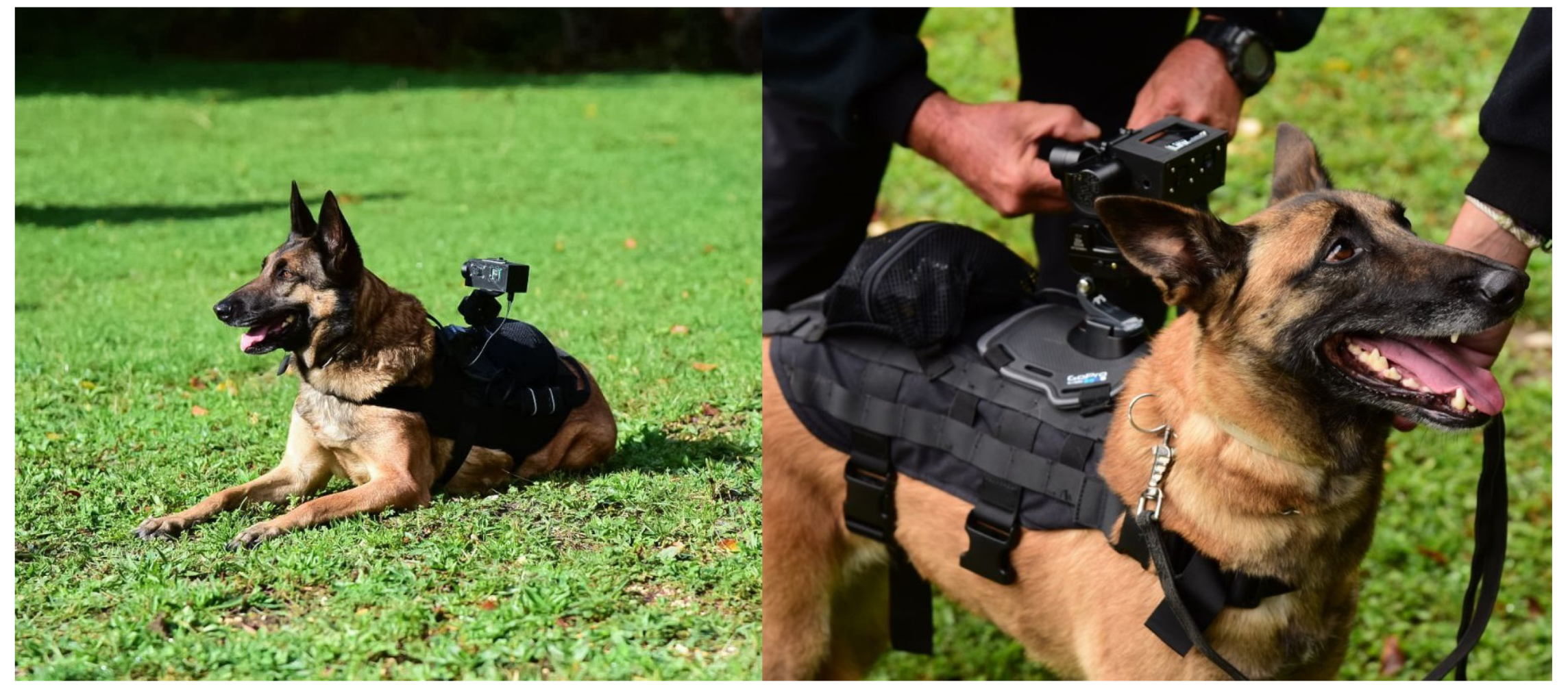 Informatics 09 00002 g002