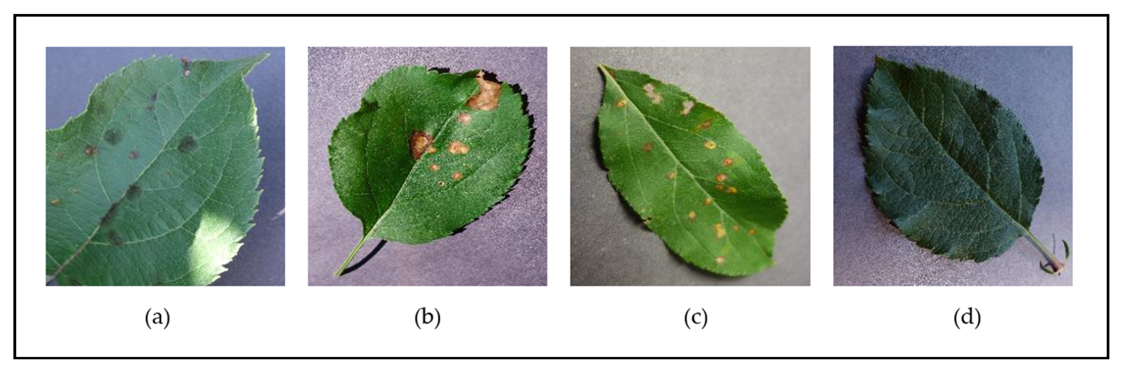 Informatics 09 00055 g002