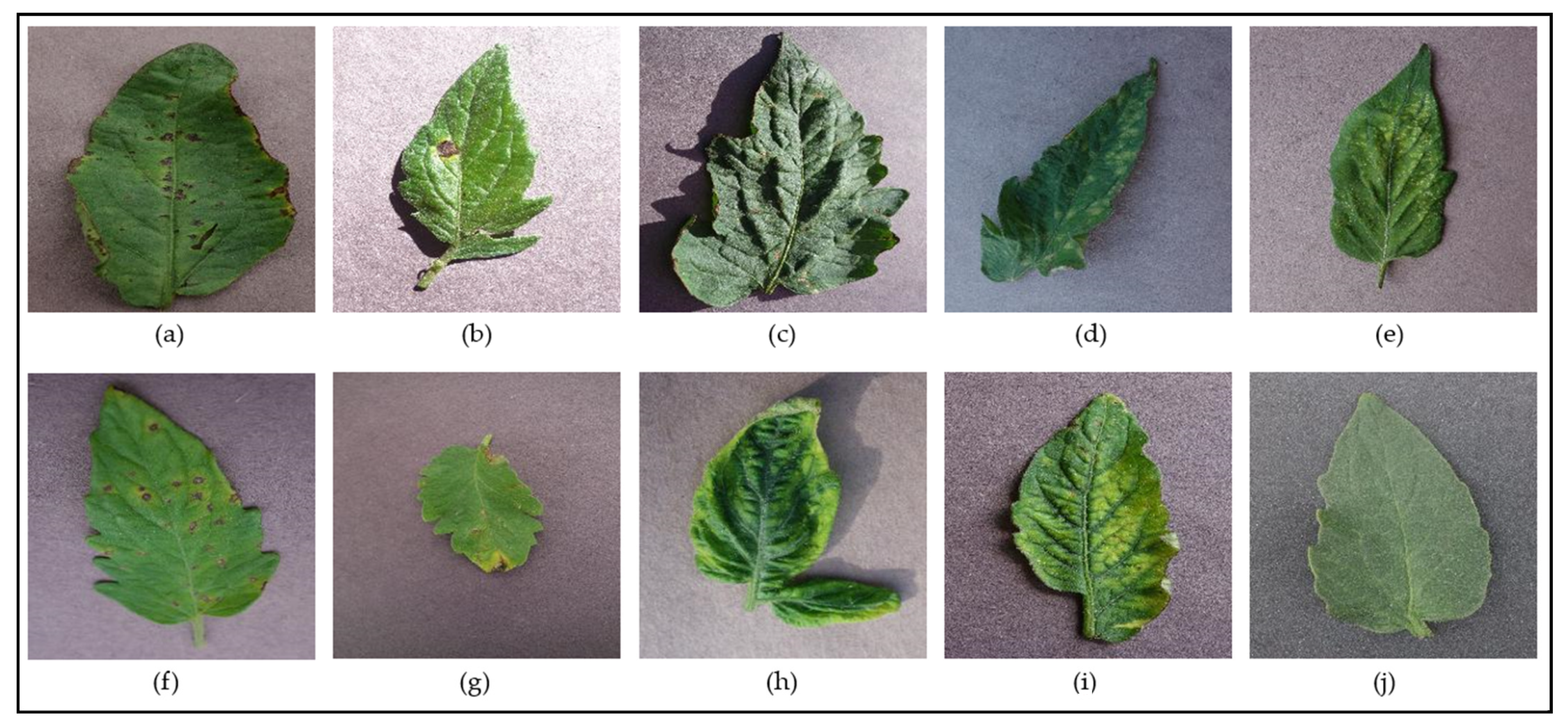 Informatics 09 00055 g003