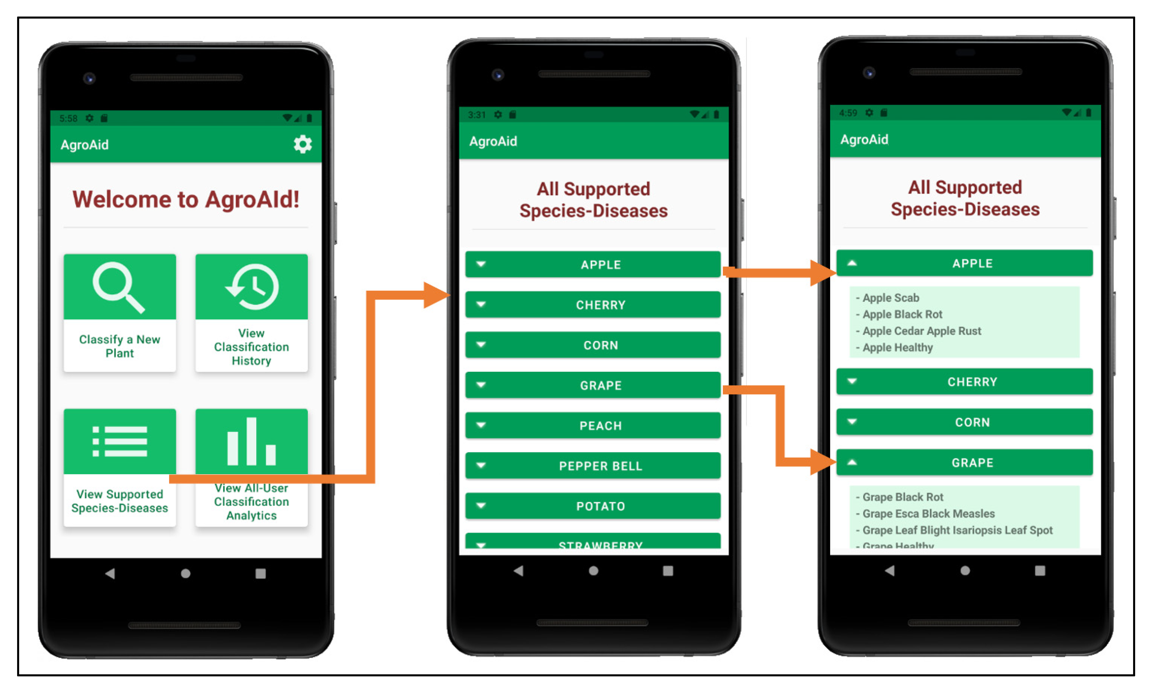 Informatics 09 00055 g028