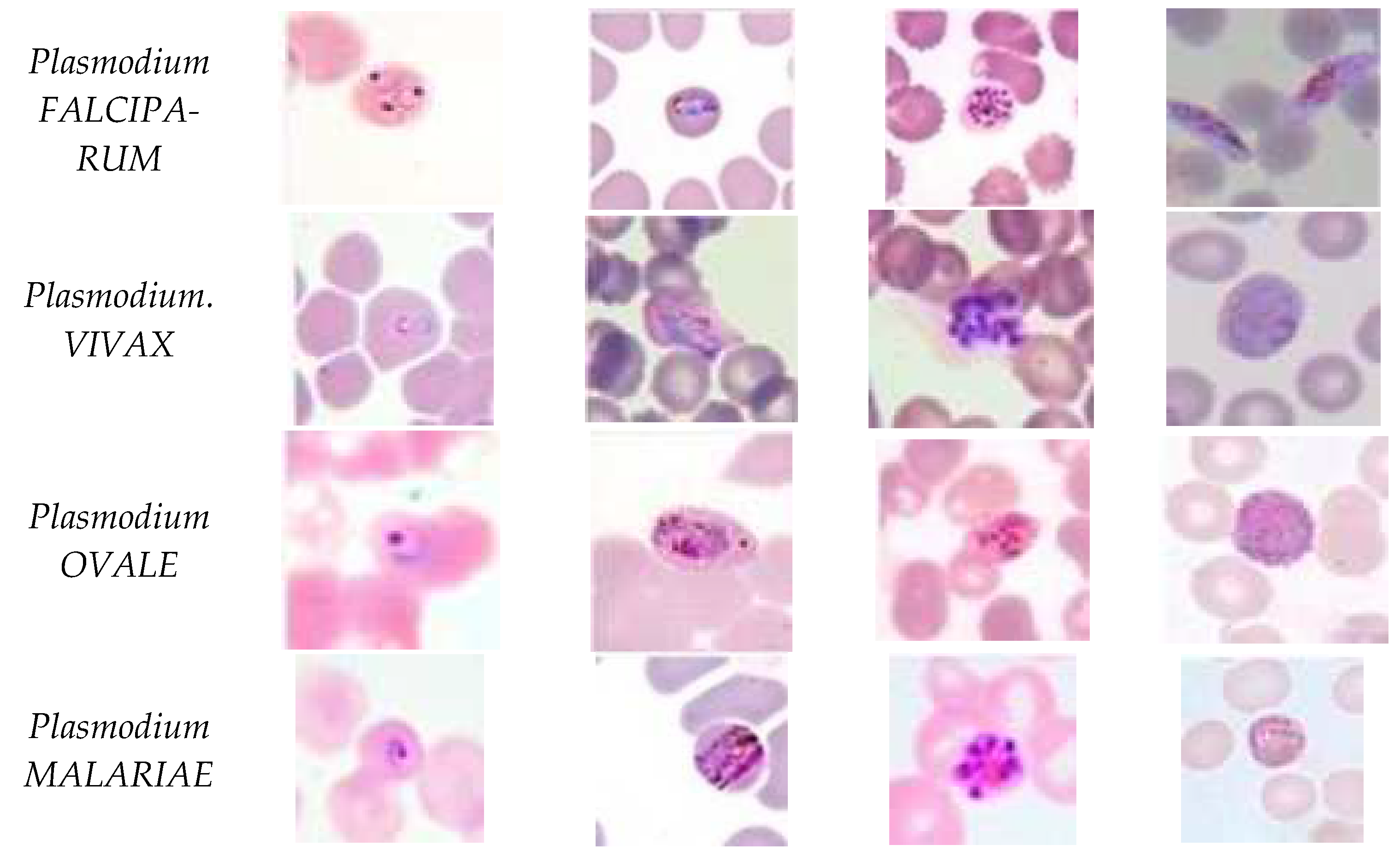 Informatics 09 00076 g002