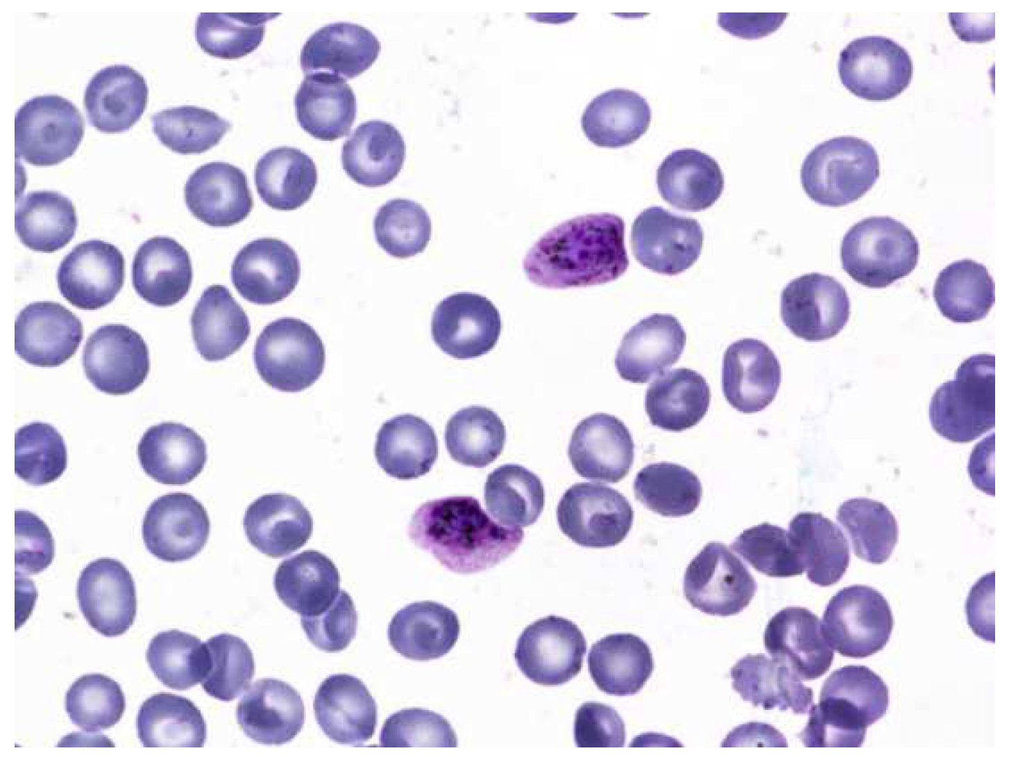 Informatics 09 00076 g008