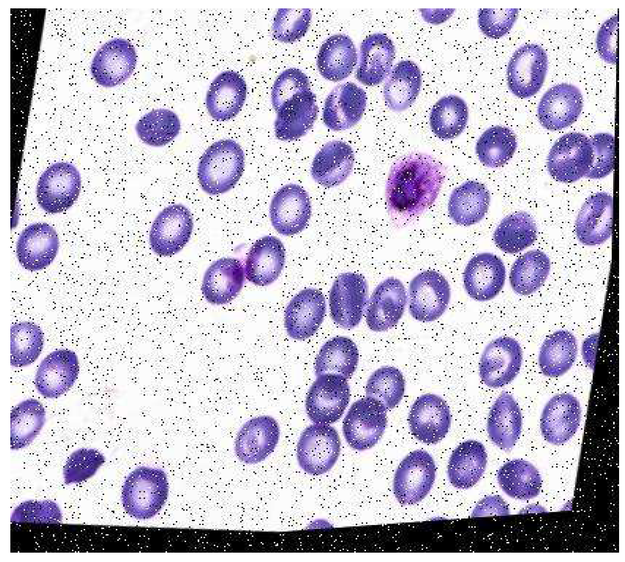 Informatics 09 00076 g009