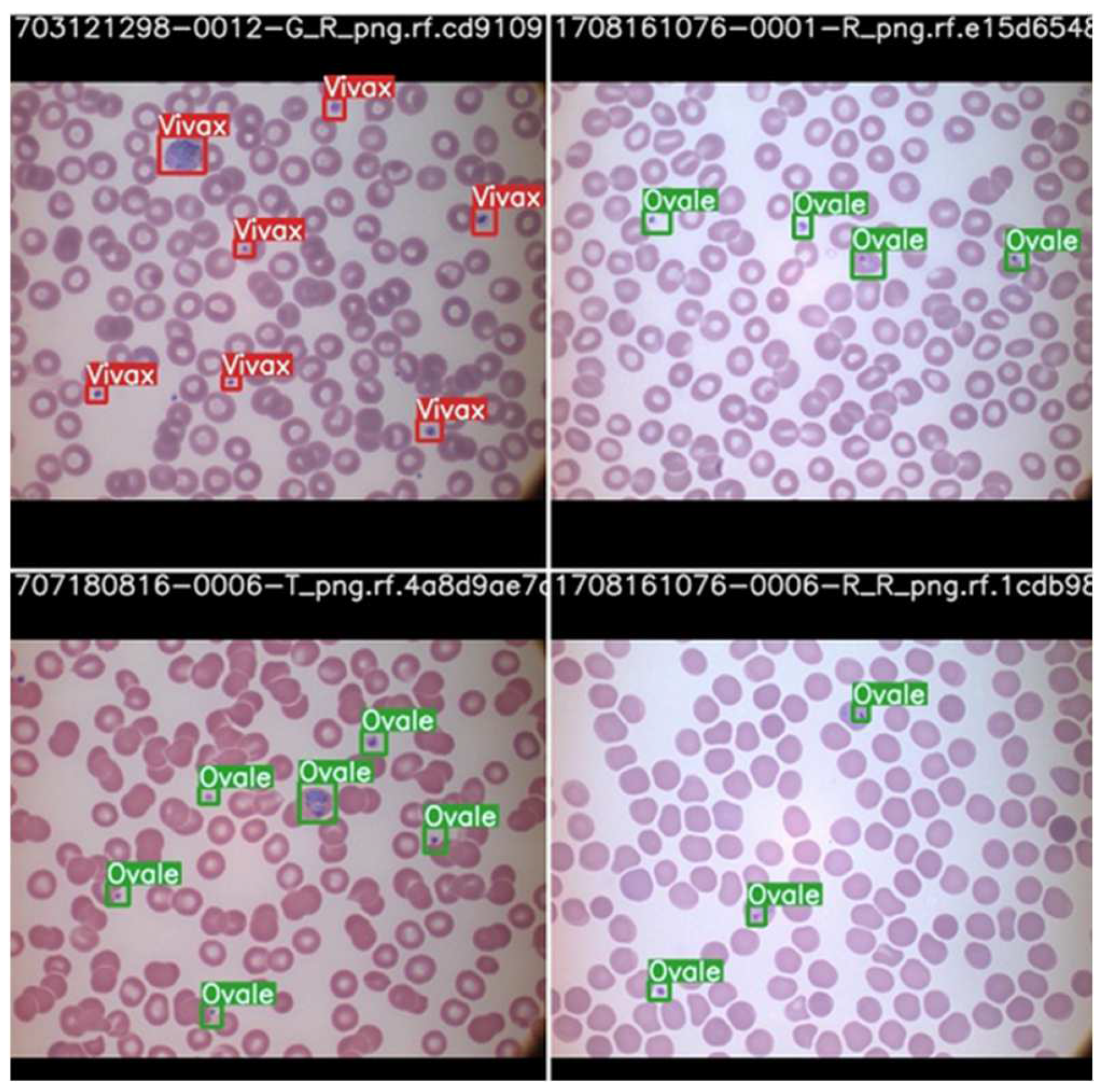 Informatics 09 00076 g013