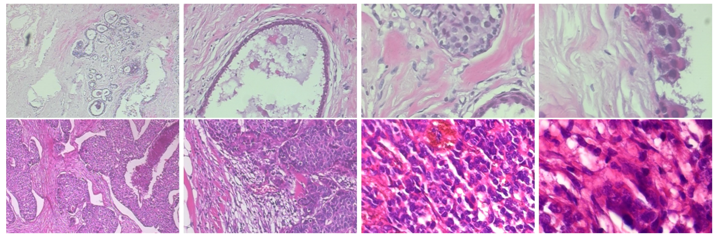 Informatics 09 00091 g001