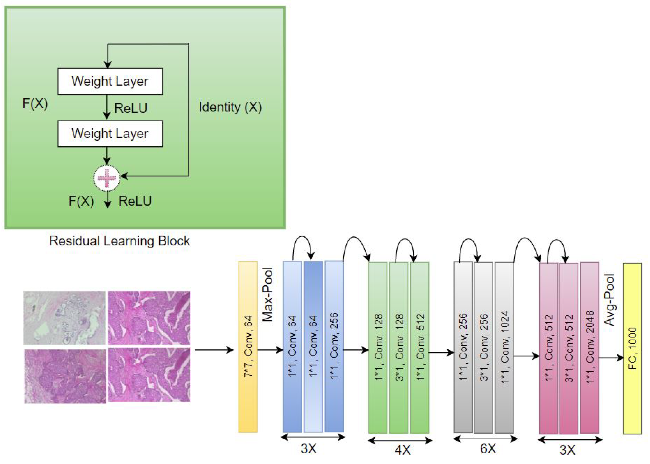 Informatics 09 00091 g005