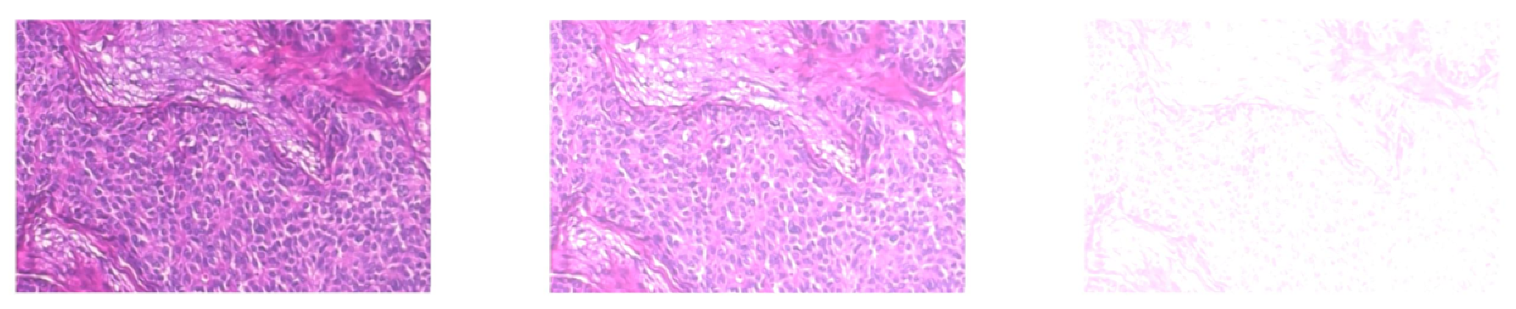 Informatics 09 00091 g007