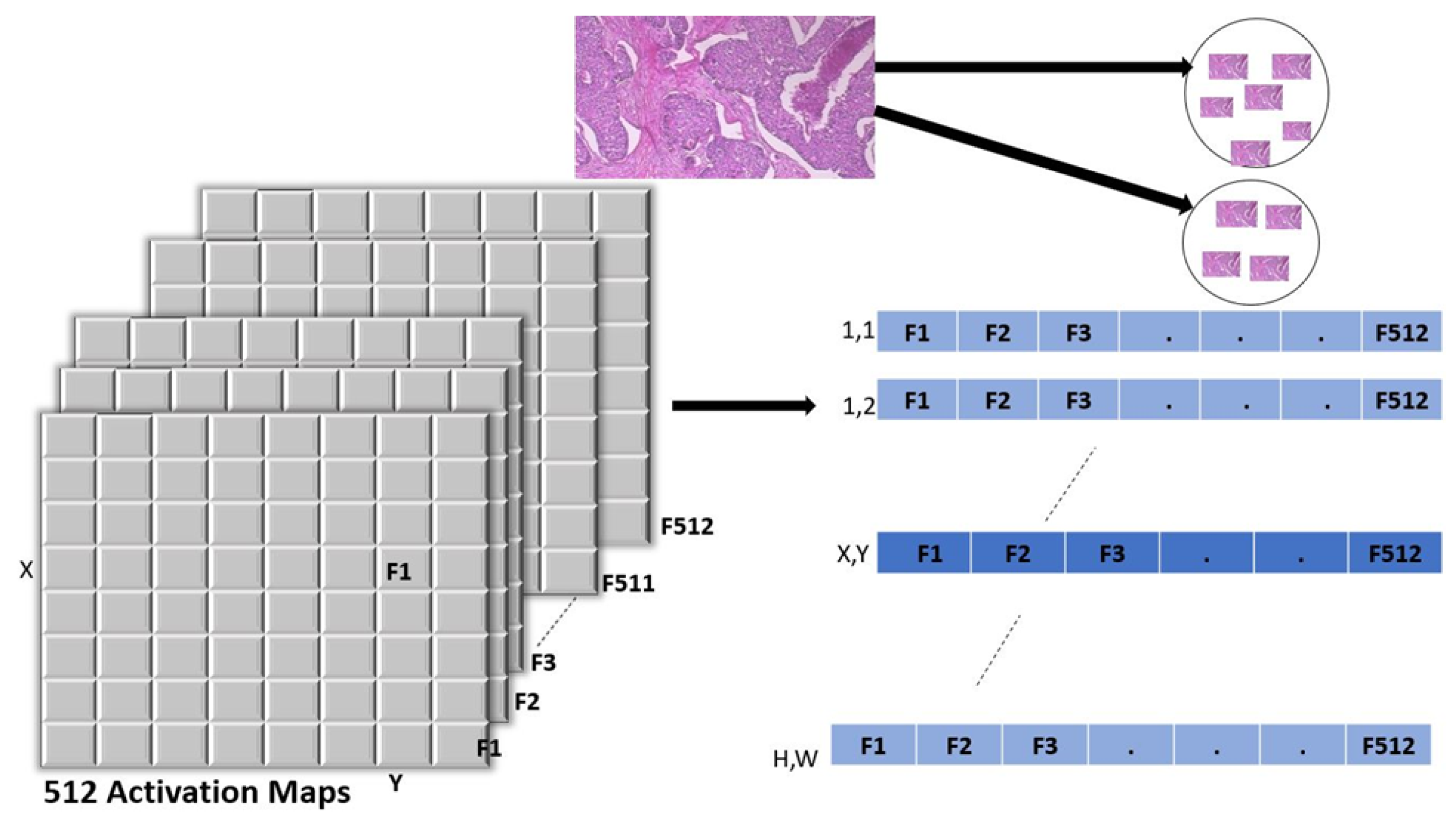 Informatics 09 00091 g009
