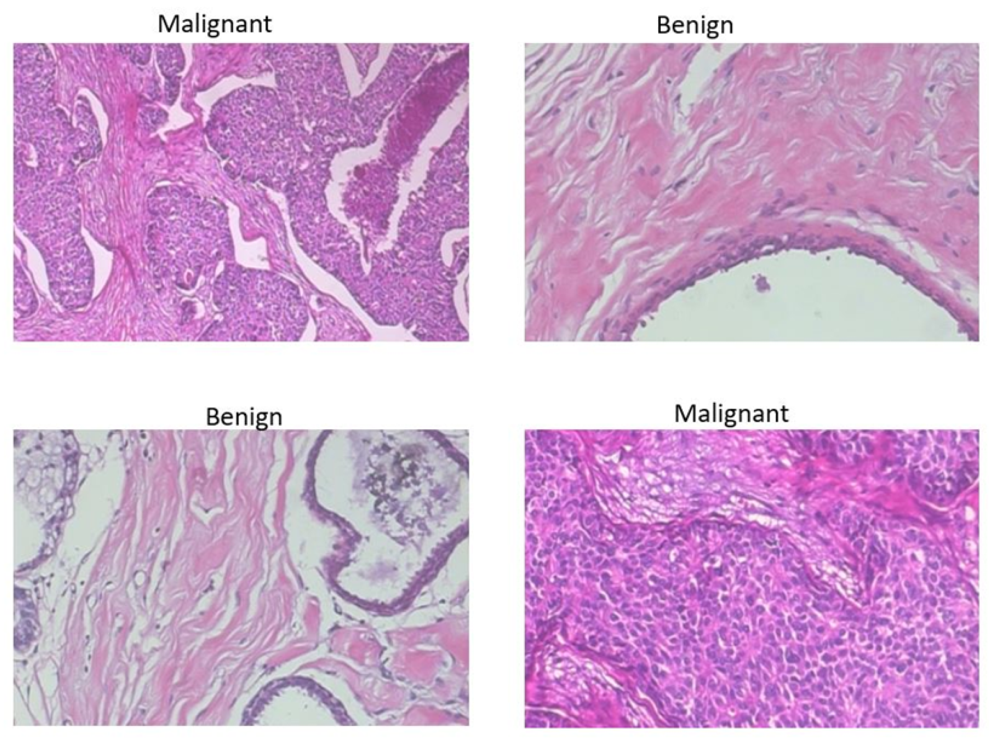Informatics 09 00091 g011