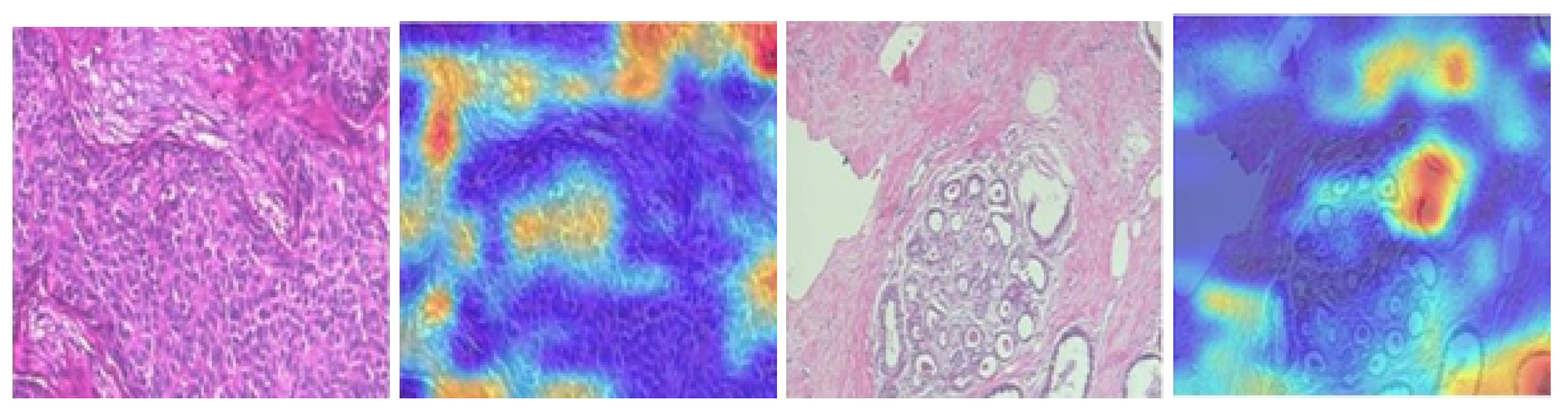 Informatics 09 00091 g014