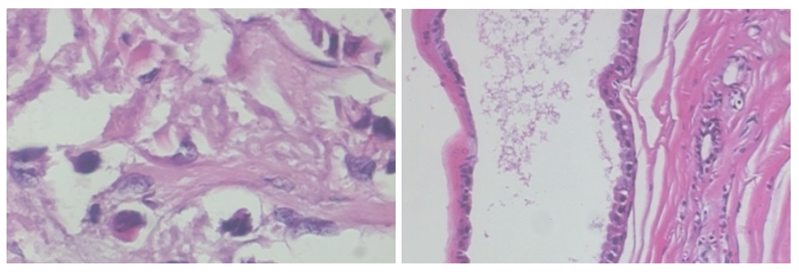 Informatics 09 00091 g015