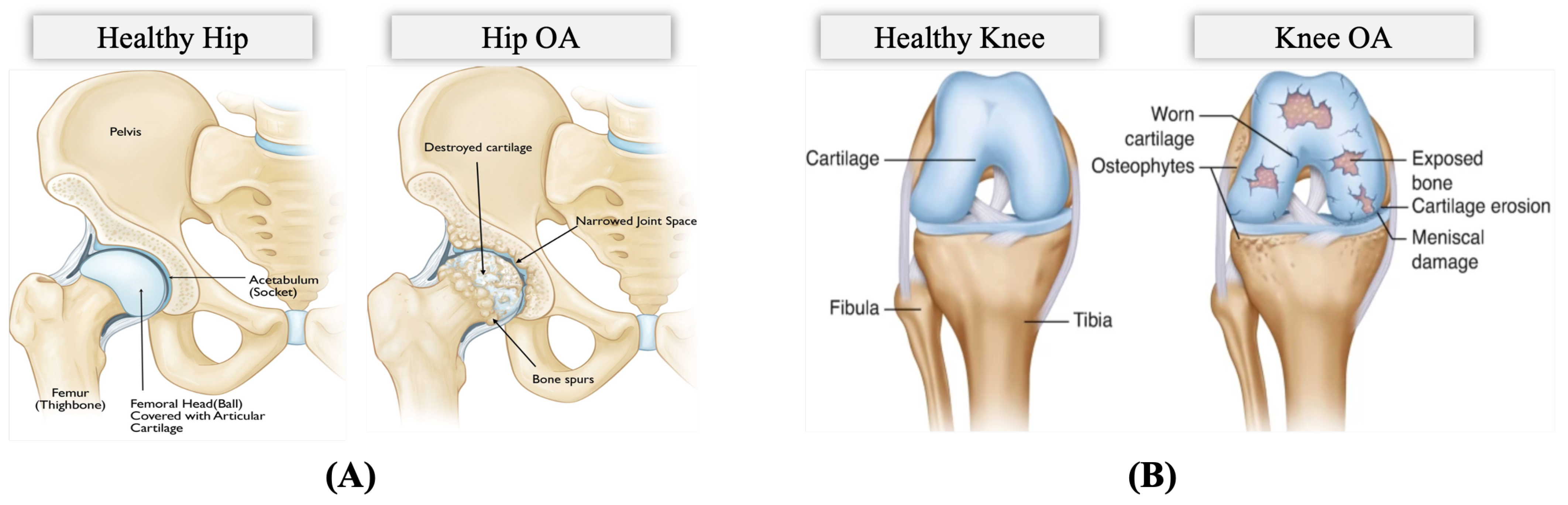 Informatics 09 00097 g002
