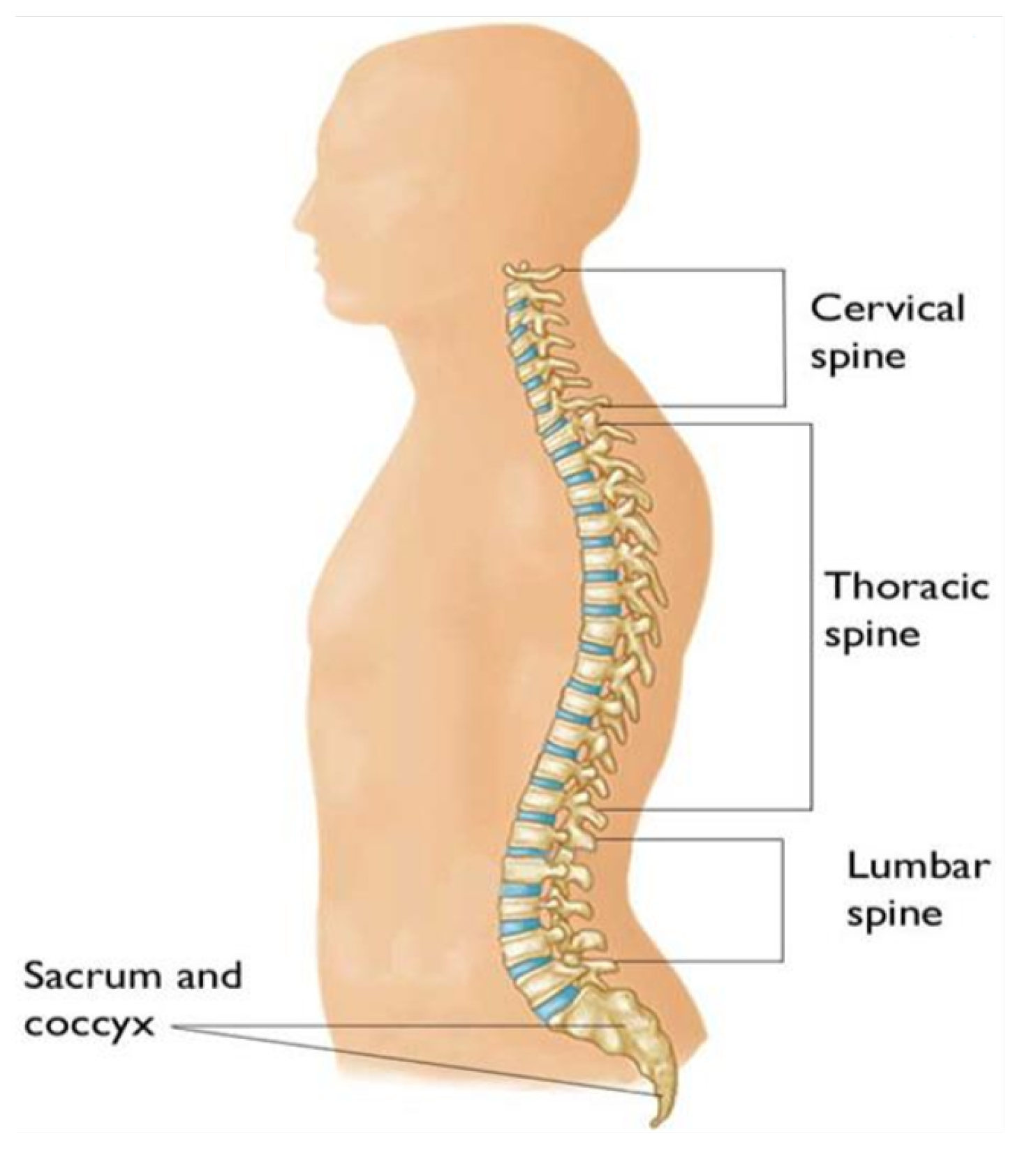 Informatics 09 00097 g005