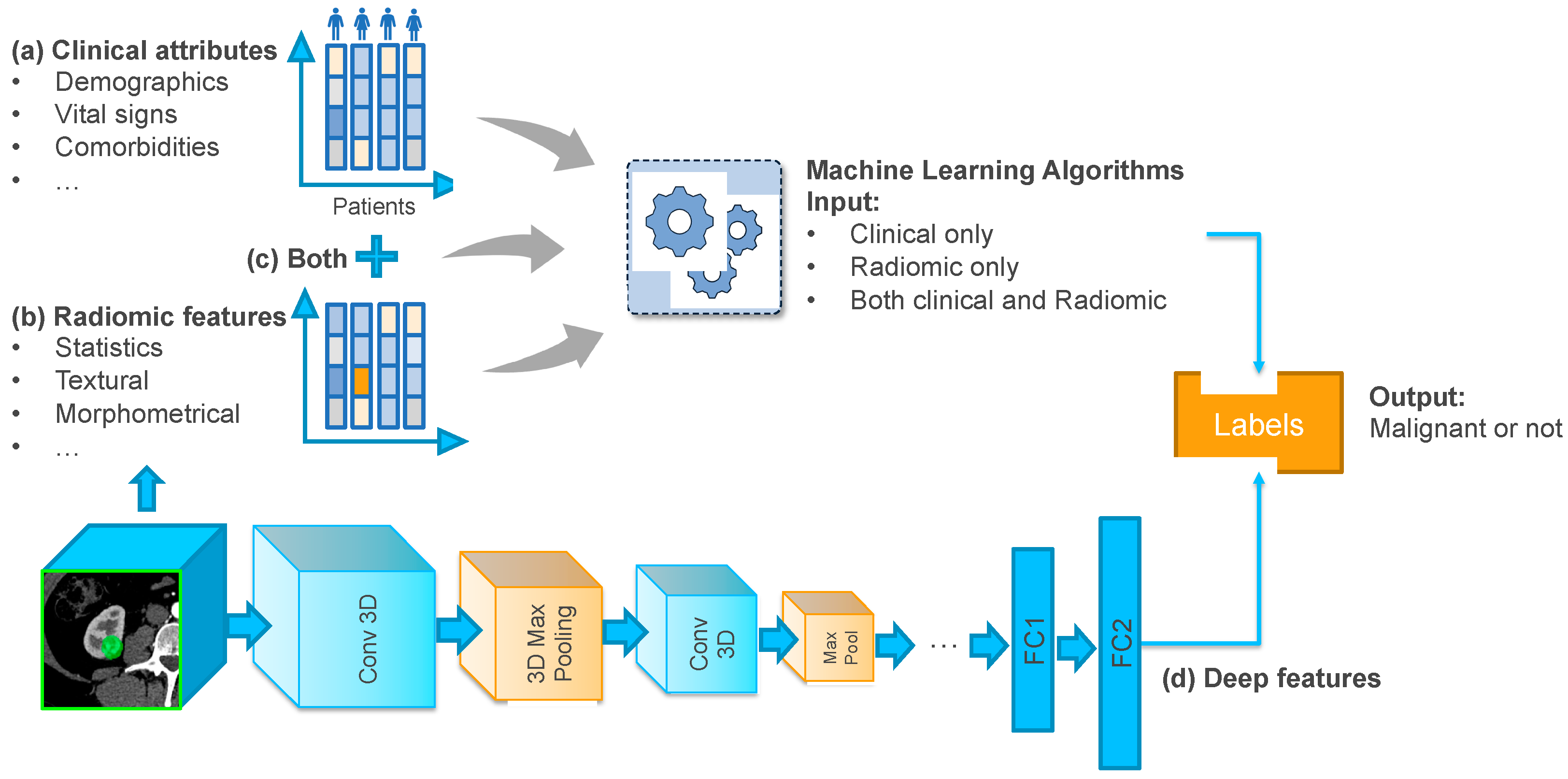 Informatics 10 00055 g001