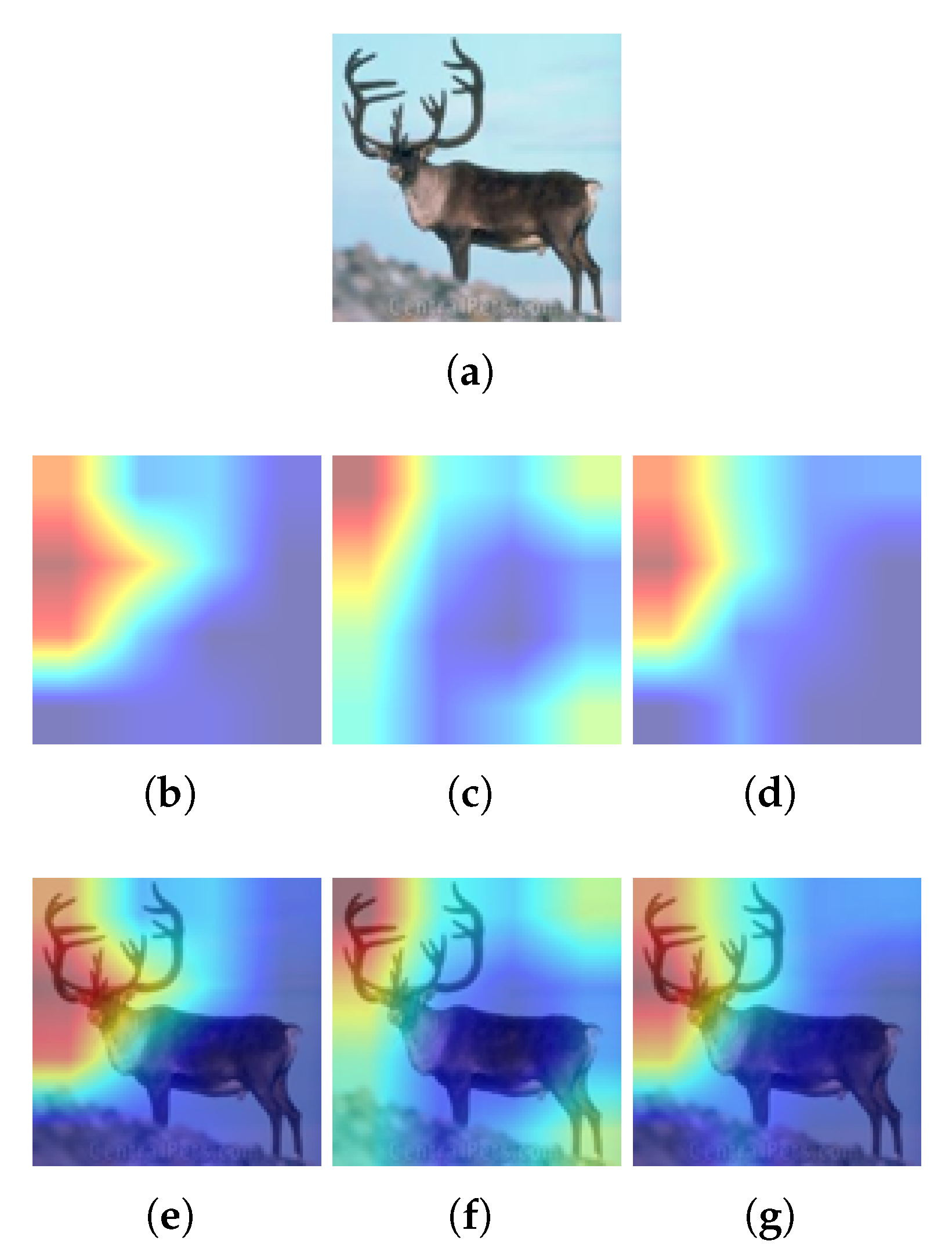 Informatics 10 00072 g001