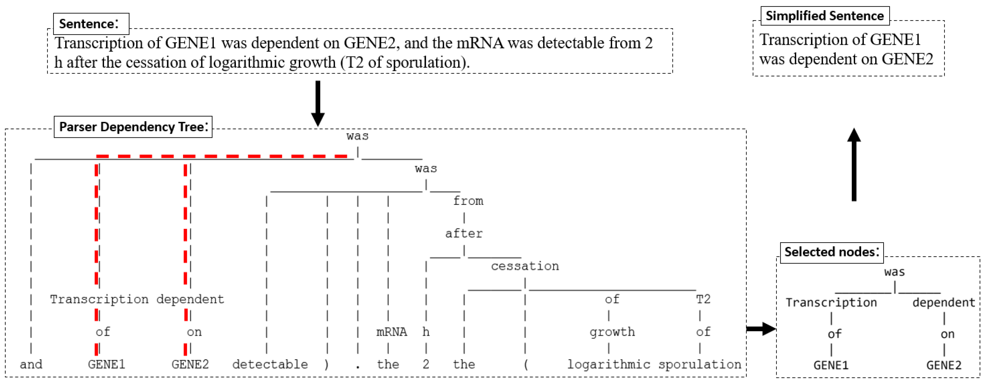 Informatics 10 00089 g006