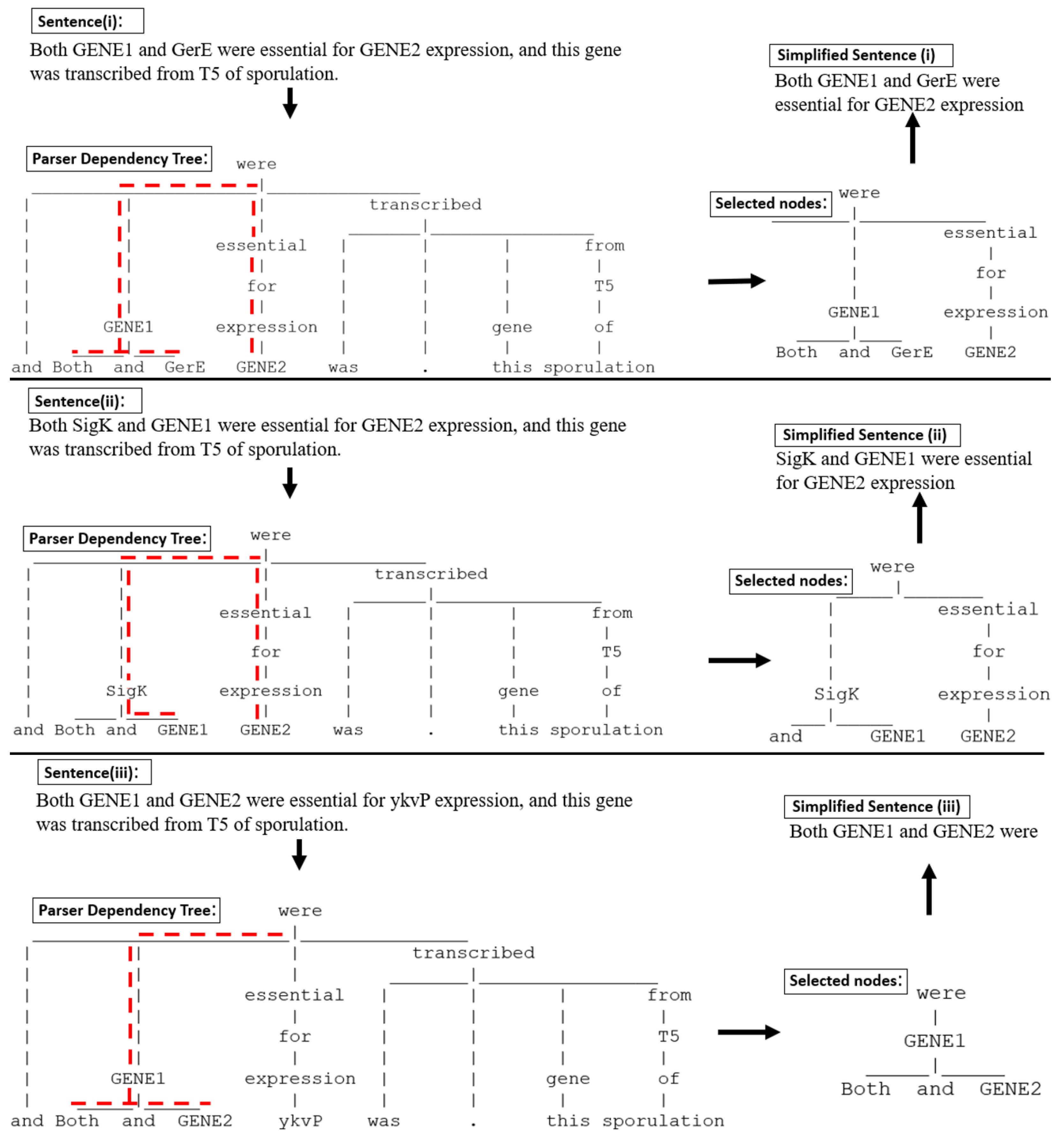 Informatics 10 00089 g007