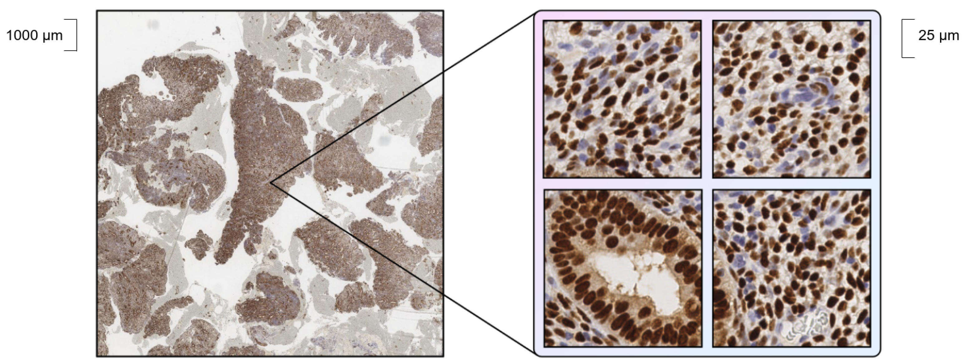 Informatics 10 00090 g001