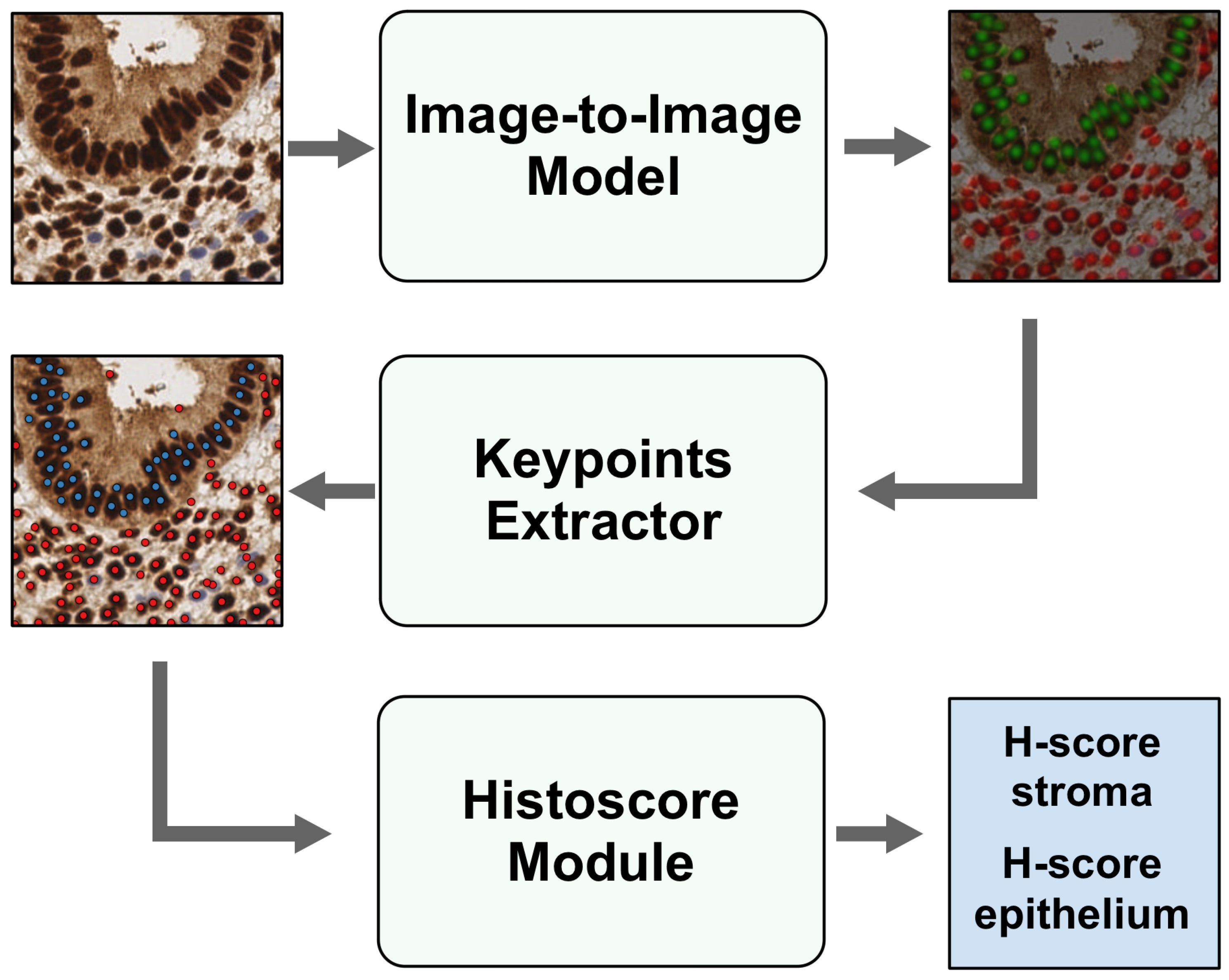 Informatics 10 00090 g002
