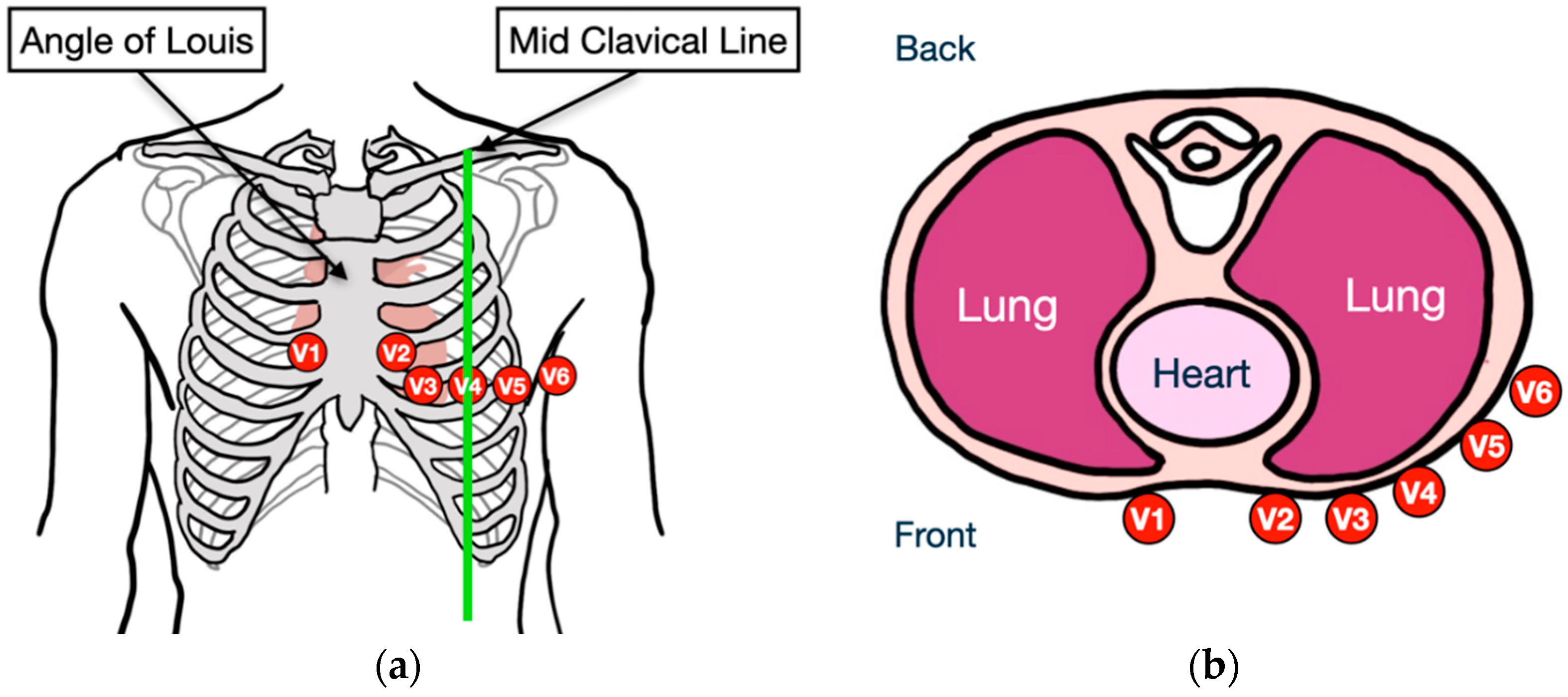 Informatics 11 00005 g001