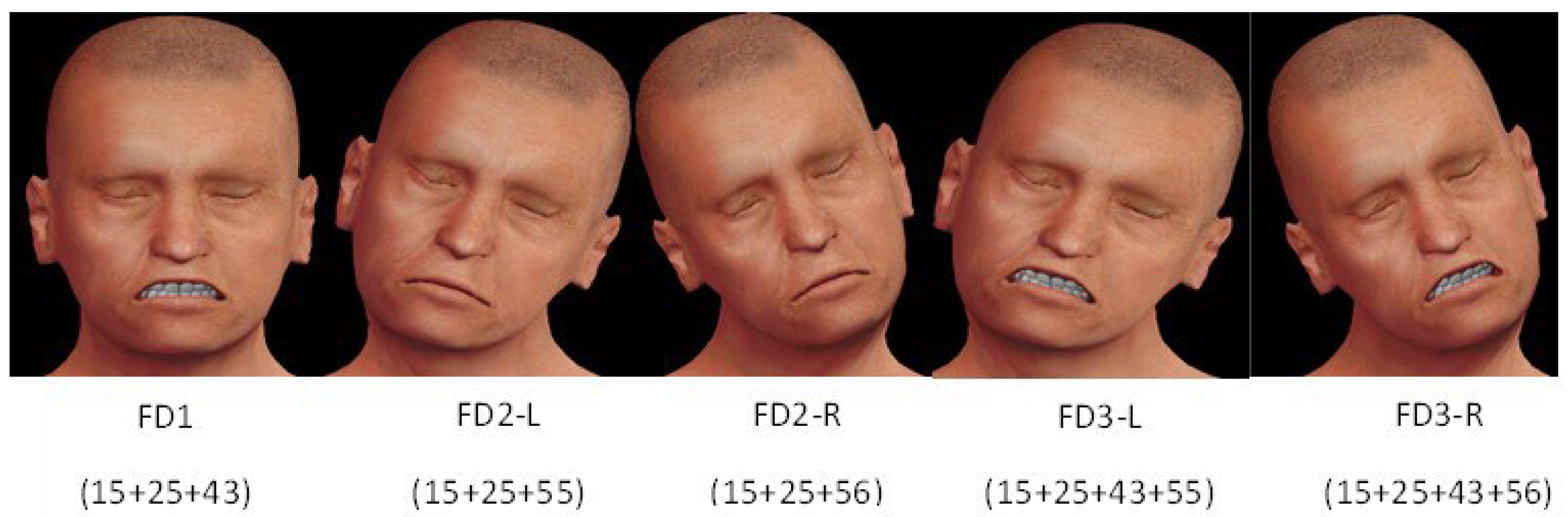 Informatics 11 00059 g002