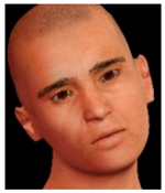 Informatics 11 00059 i005