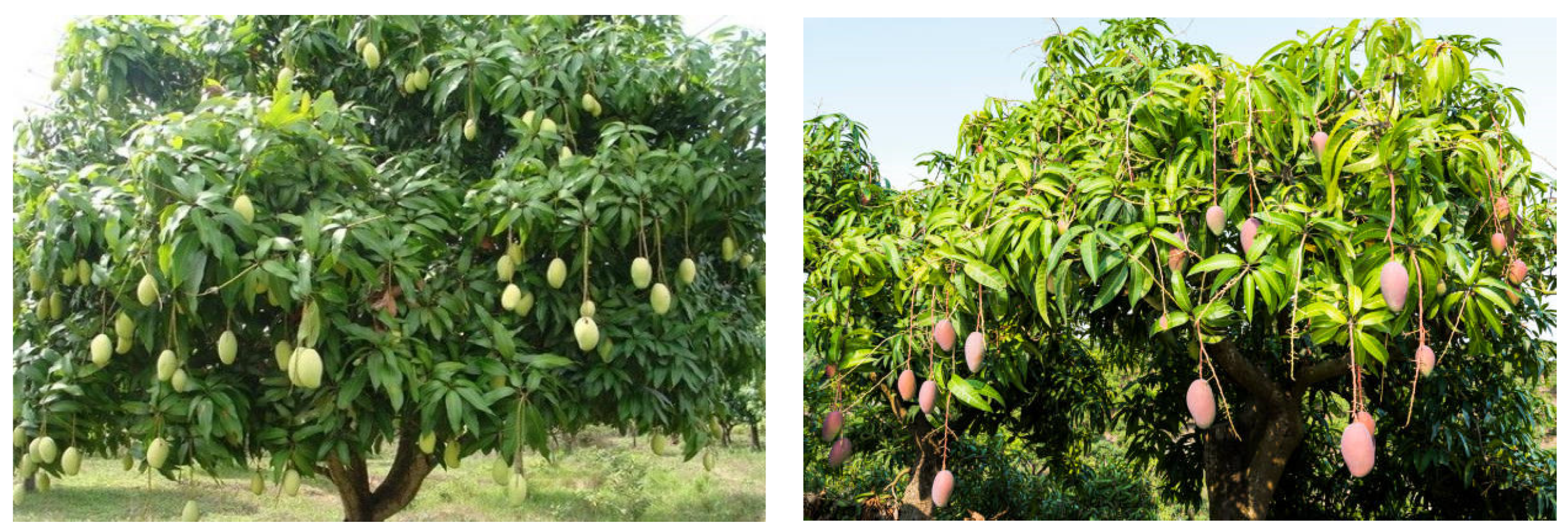 Informatics 11 00087 g002