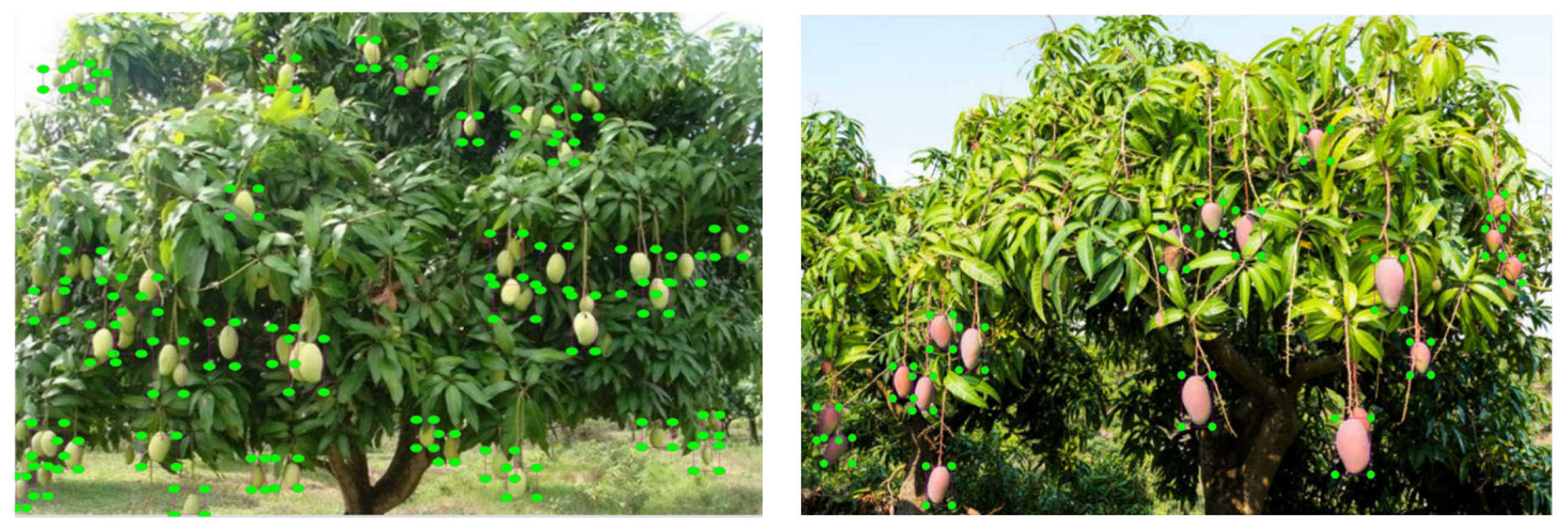 Informatics 11 00087 g003