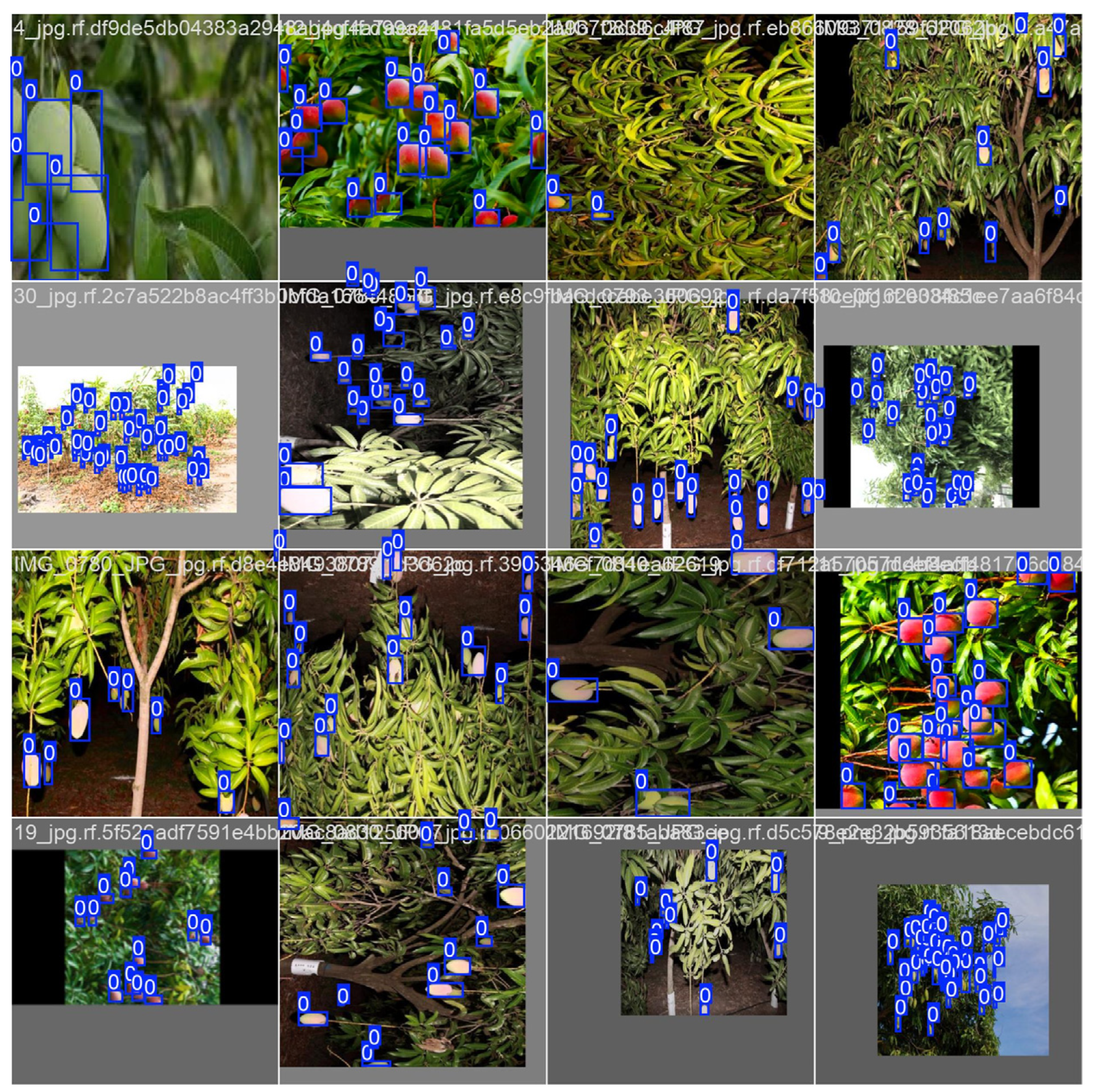 Informatics 11 00087 g005