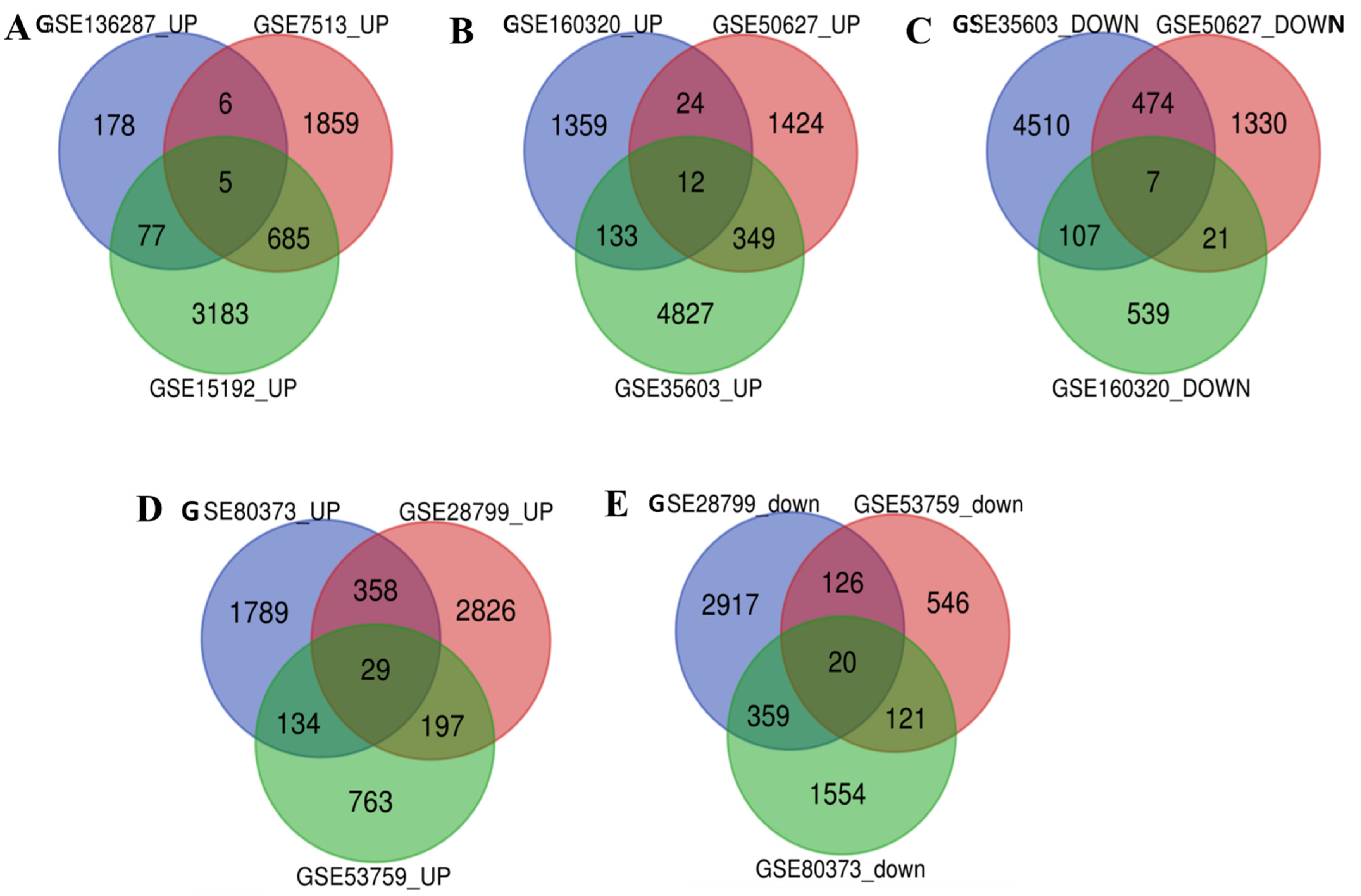Informatics 11 00095 g001
