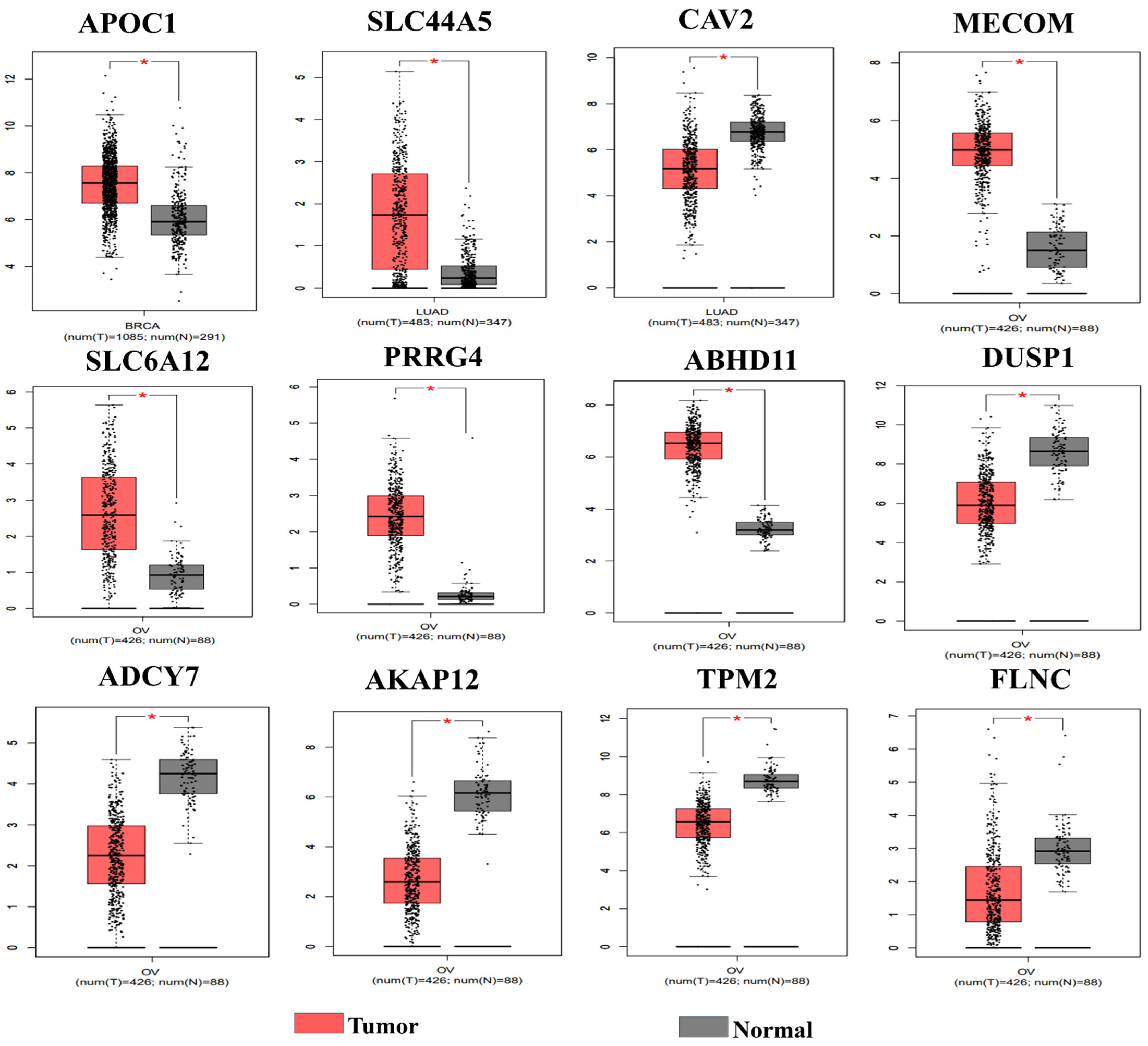 Informatics 11 00095 g002