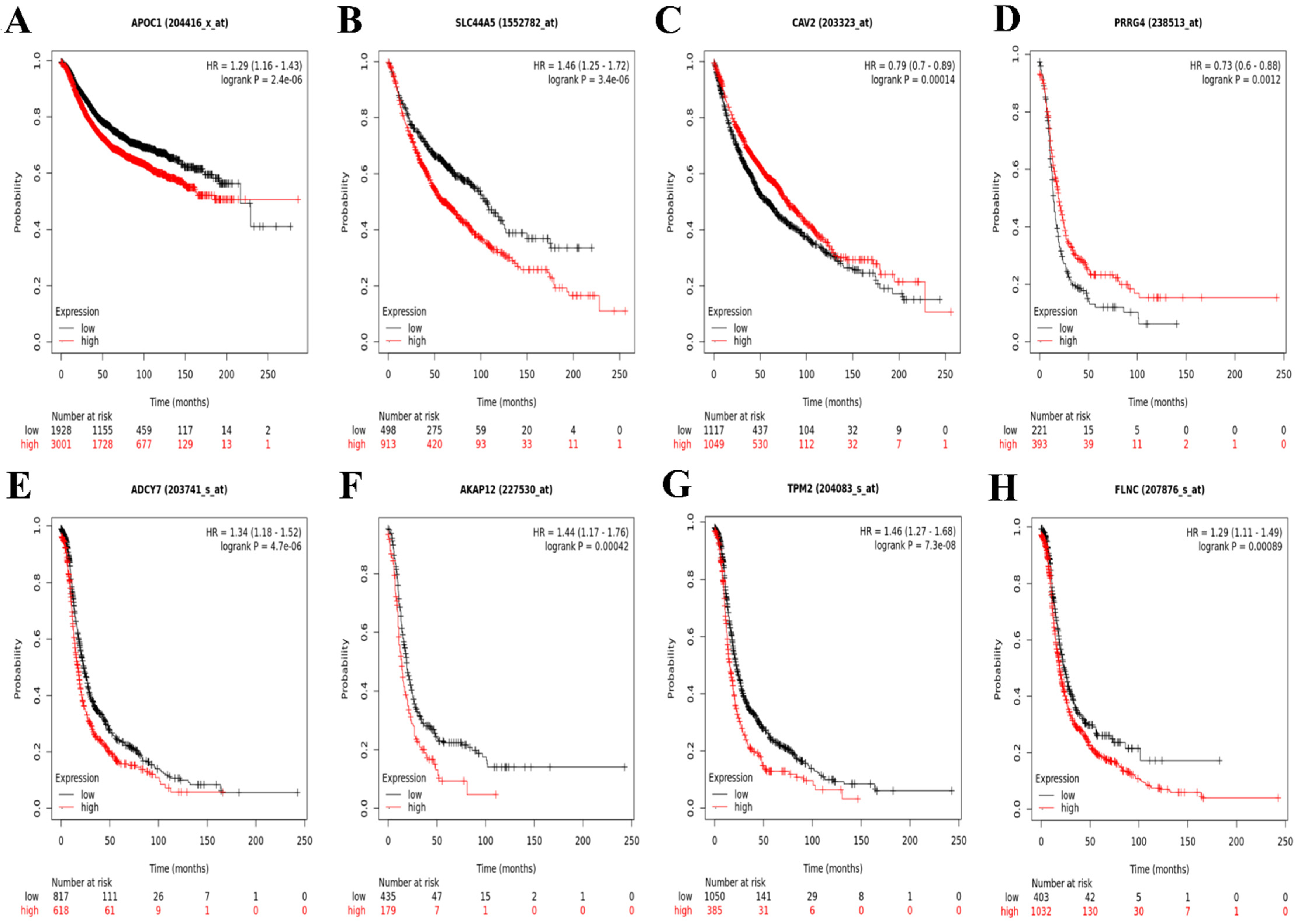 Informatics 11 00095 g003