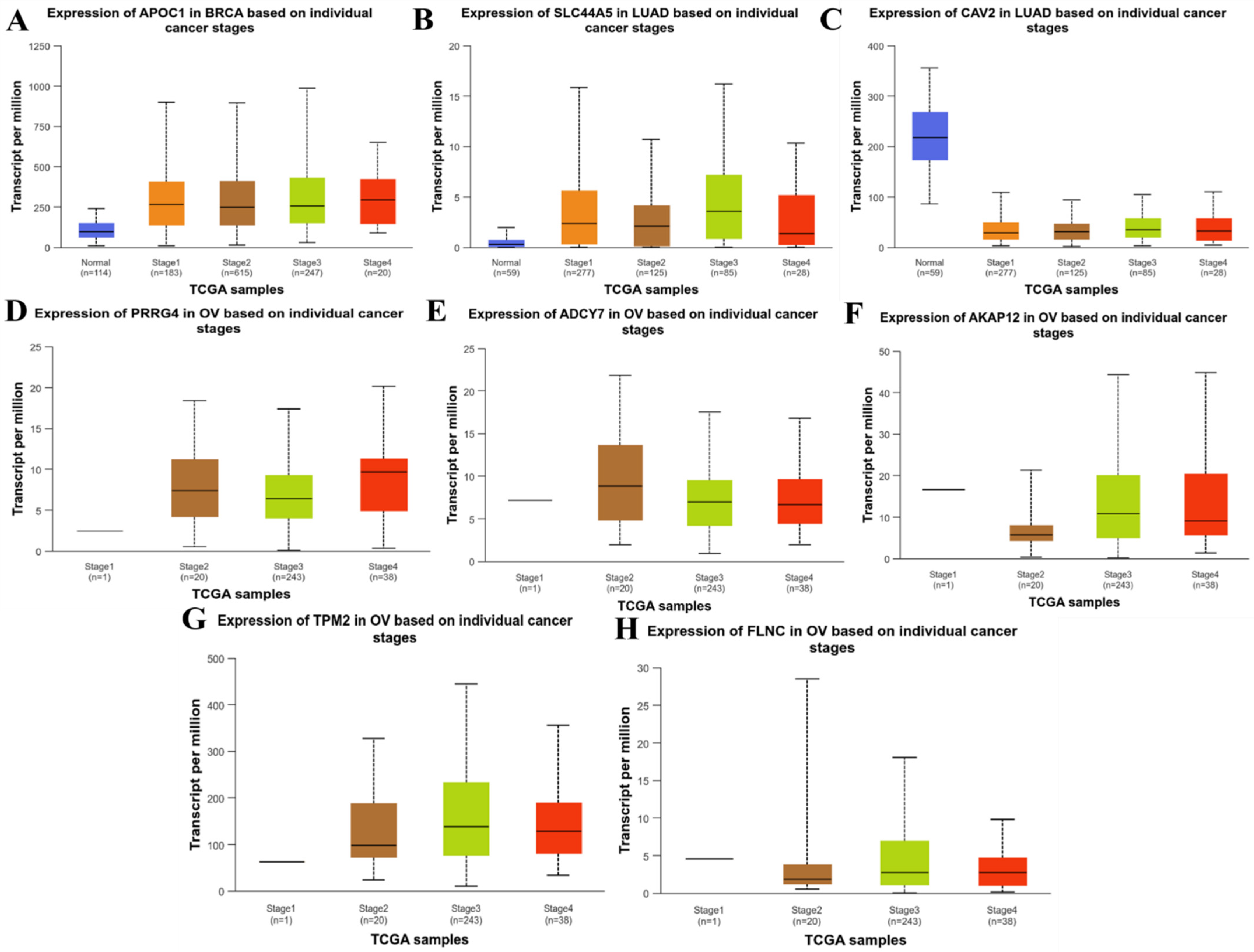Informatics 11 00095 g004