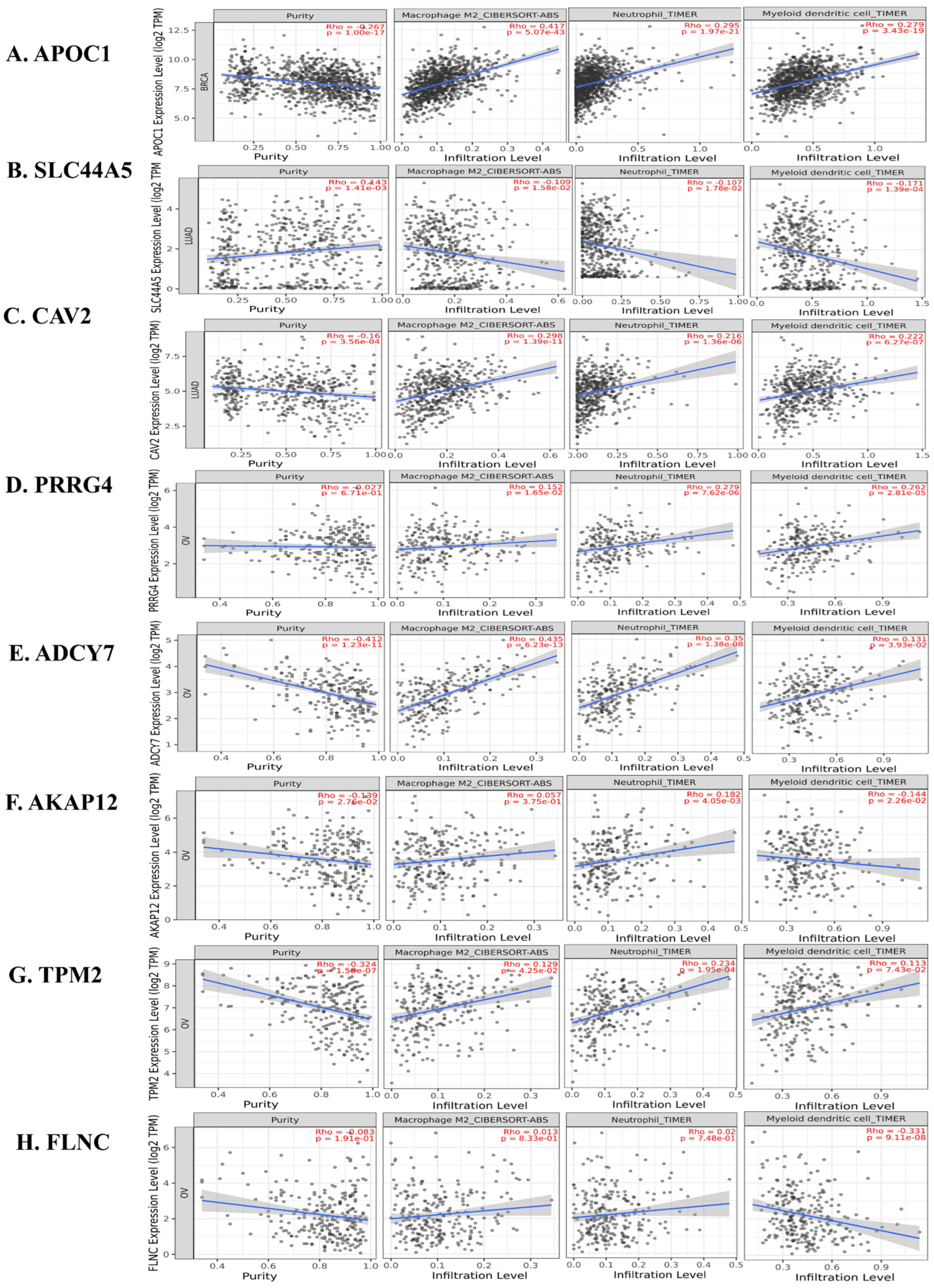 Informatics 11 00095 g007