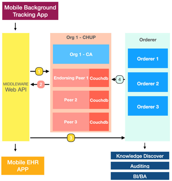 Informatics 11 00098 g005